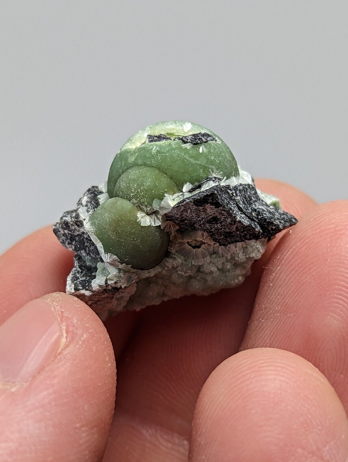 Wavellite - Fantastic 1990s Old Stock - Mauldin Mountain Arkansas - Collectibles:Rocks Fossils & Minerals:Crystals