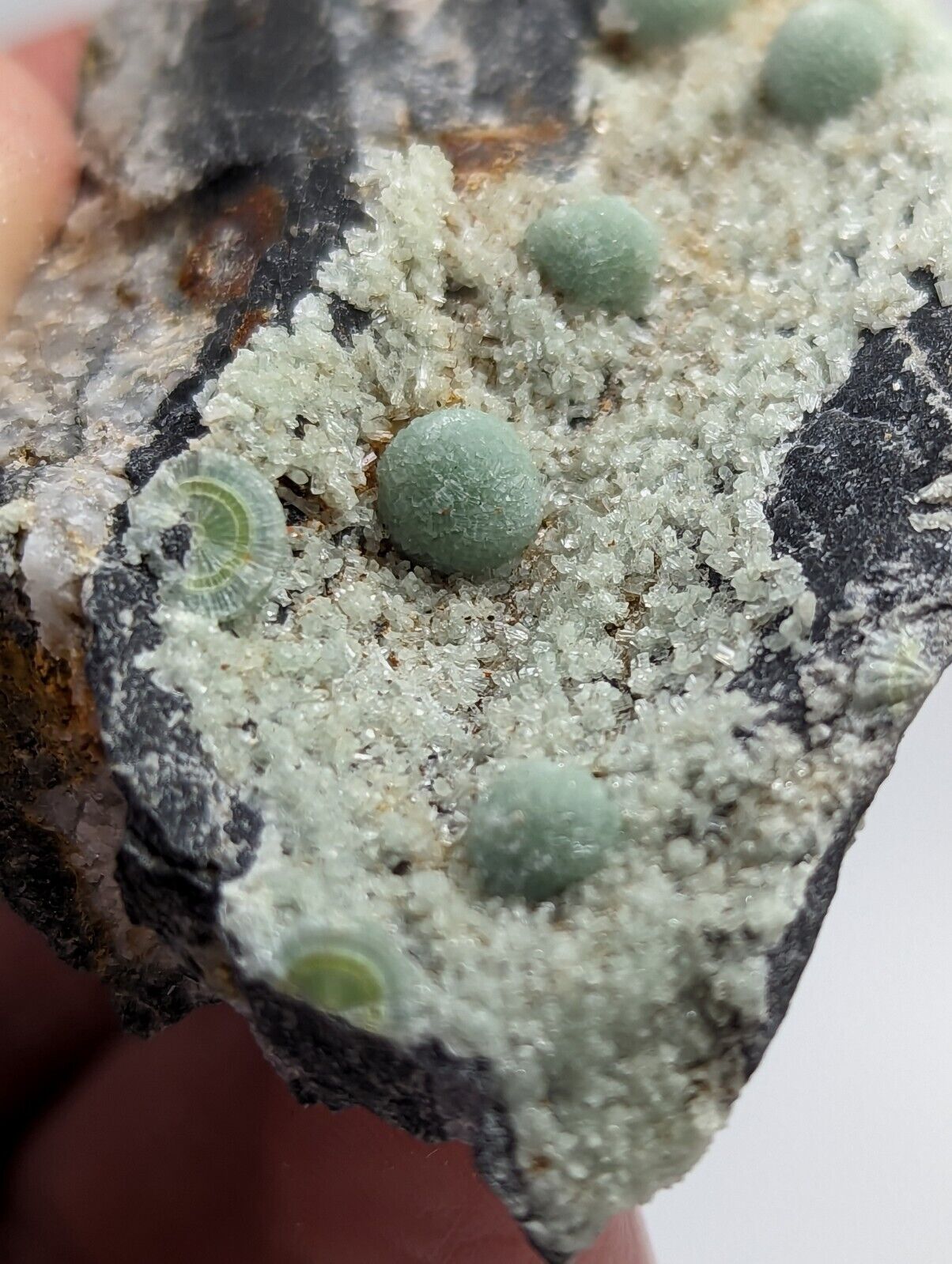 Wavellite -Fantastic 1990s Old Stock- Mauldin Mountain Arkansas montgomery co. - Collectibles:Rocks Fossils &