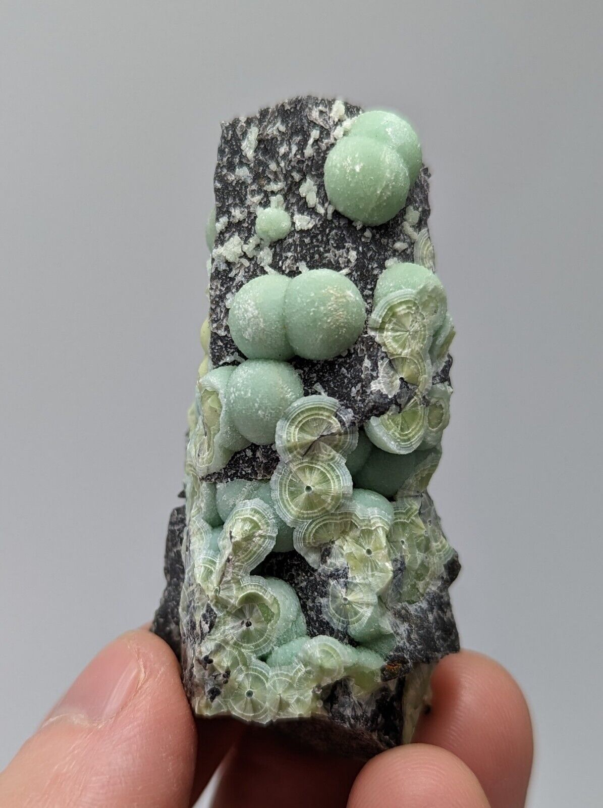 Wavellite - Fantastic 1990s Old Stock - Mauldin Mountain Arkansas - Collectibles:Rocks Fossils & Minerals:Crystals