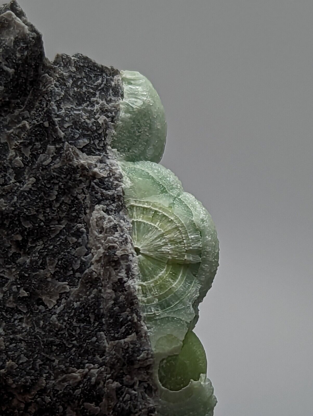 Wavellite - Fantastic 1990s Old Stock - Mauldin Mountain Arkansas - Collectibles:Rocks Fossils & Minerals:Crystals