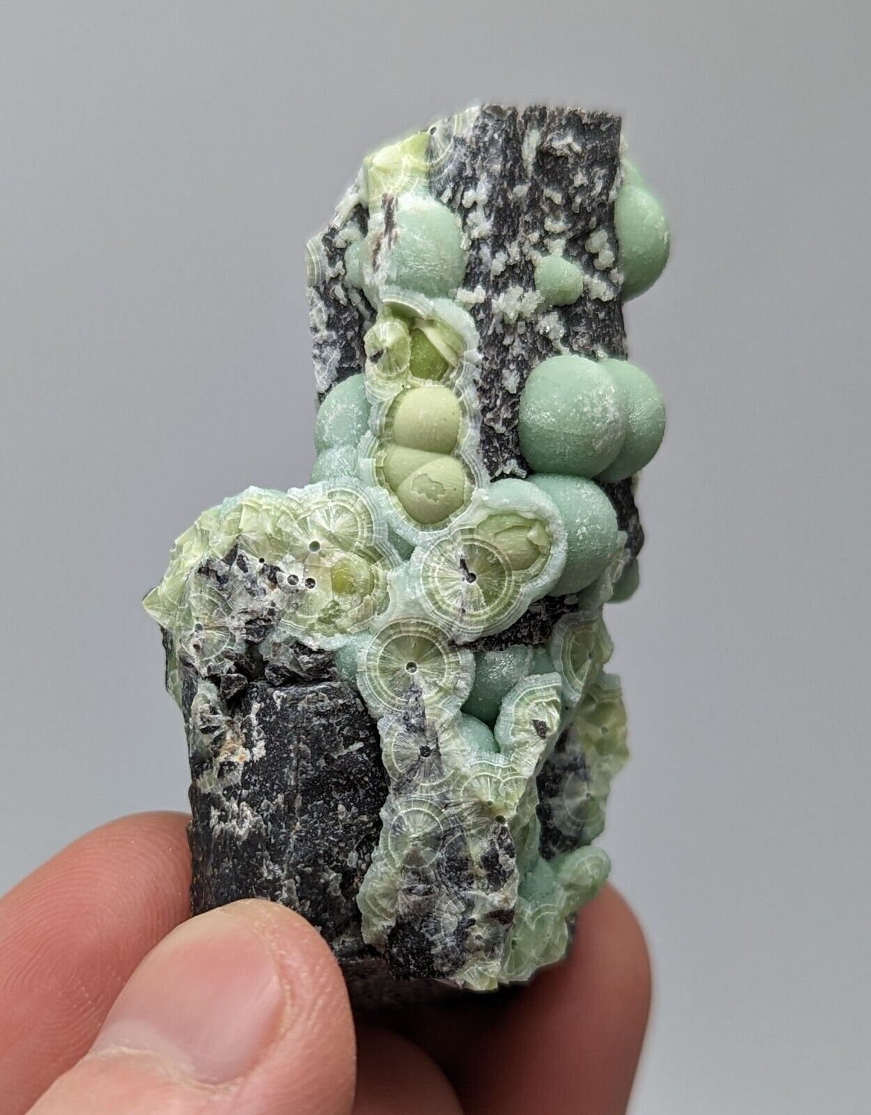 Wavellite - Fantastic 1990s Old Stock - Mauldin Mountain Arkansas - Collectibles:Rocks Fossils & Minerals:Crystals