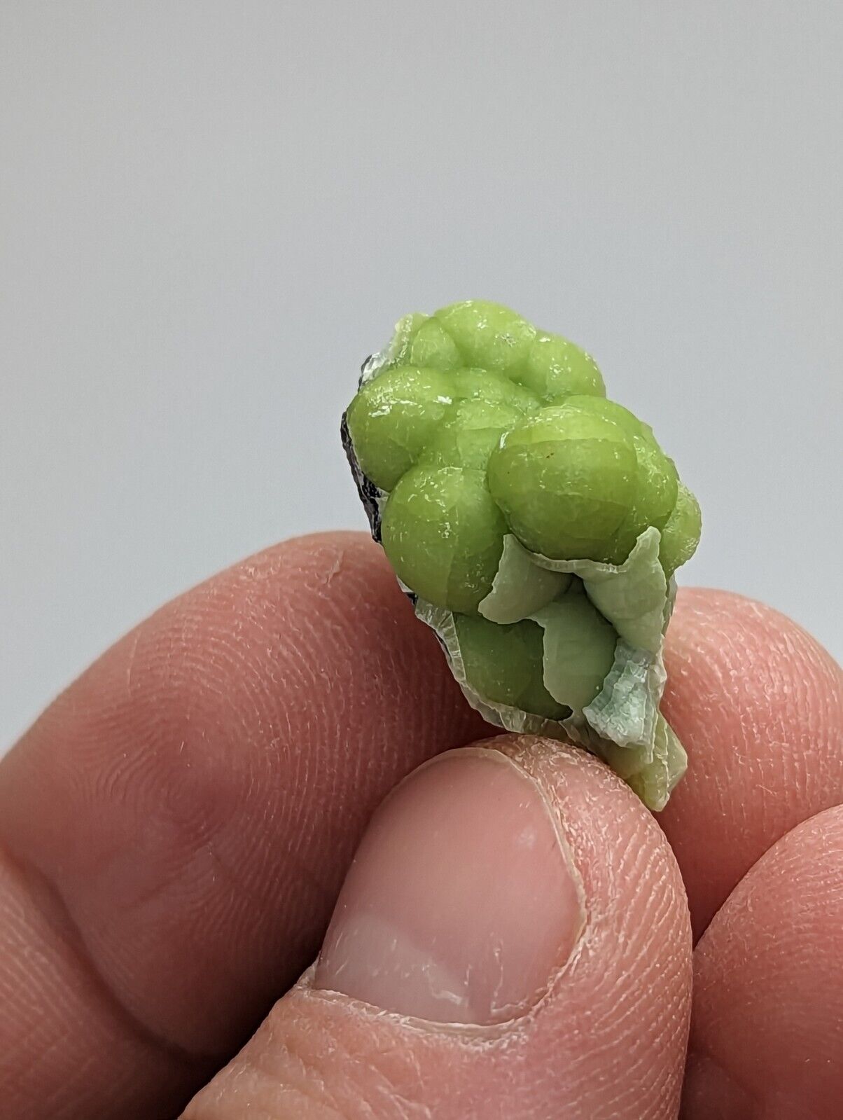 Wavellite - Fantastic 1990s Old Stock - Mauldin Mountain Arkansas - Collectibles:Rocks Fossils & Minerals:Crystals