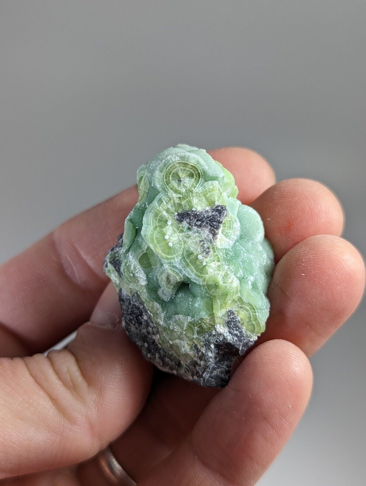 Wavellite - Fantastic 1990s Old Stock - Mauldin Mountain Arkansas - Collectibles:Rocks Fossils & Minerals:Crystals