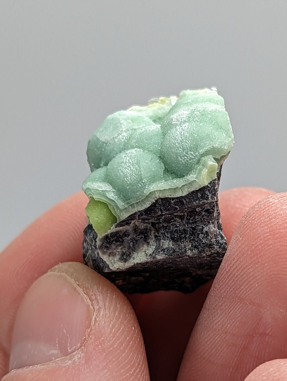Wavellite - Fantastic 1990s Old Stock - Mauldin Mountain Arkansas - Collectibles:Rocks Fossils & Minerals:Crystals