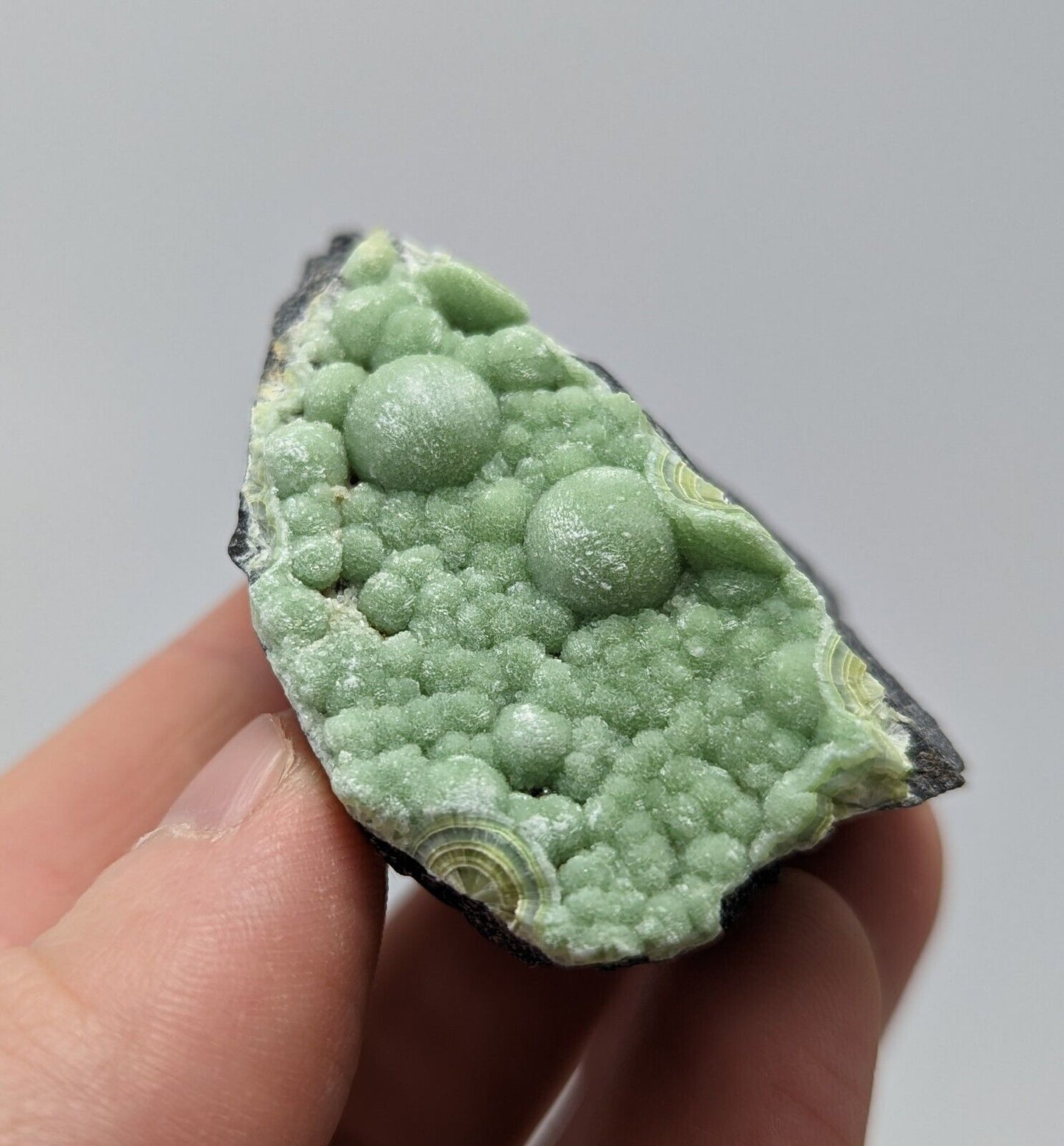 Wavellite - Fantastic 1990s Old Stock - Mauldin Mountain Arkansas - Collectibles:Rocks Fossils & Minerals:Crystals