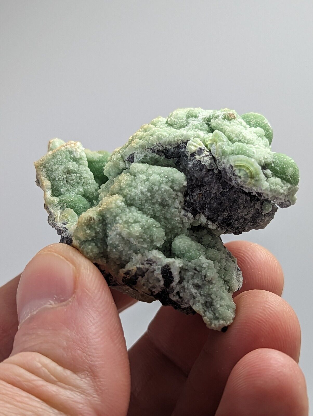 Wavellite -Fantastic 1990s Old Stock- Mauldin Mountain Arkansas montgomery co. - Collectibles:Rocks Fossils &