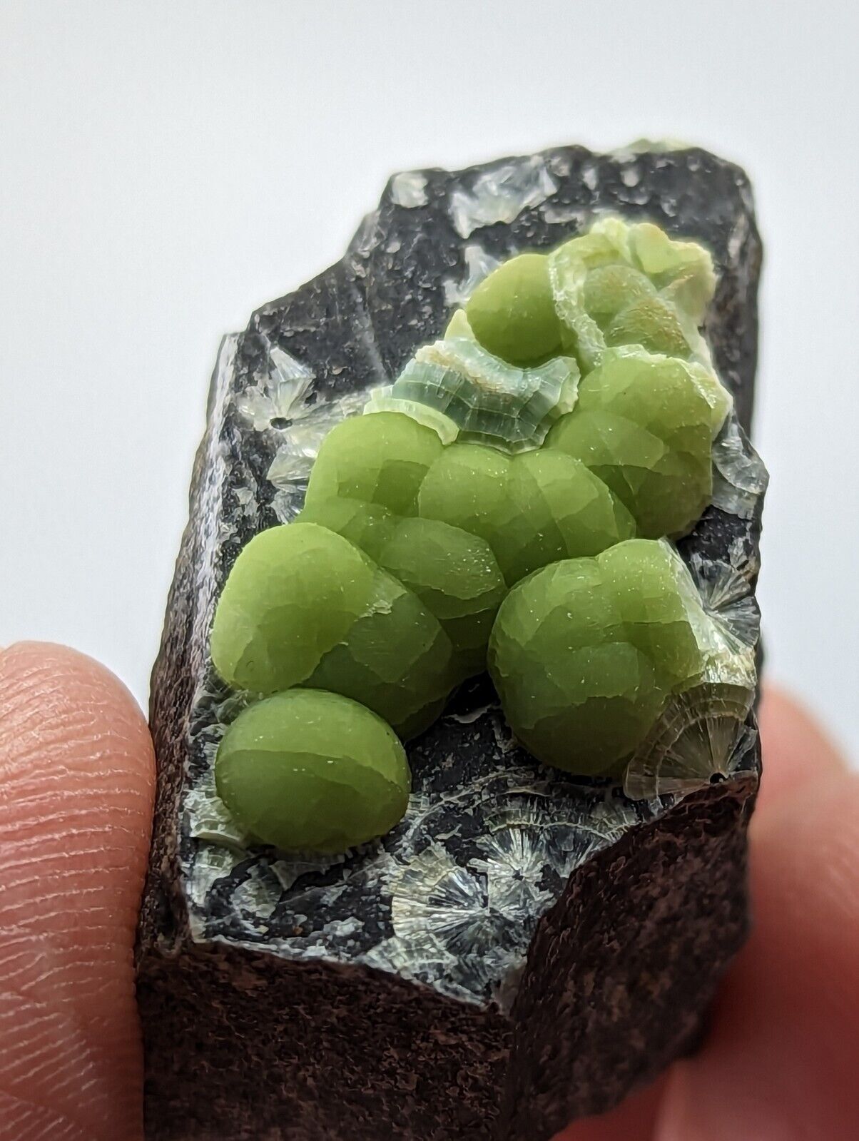 Wavellite - Fantastic 1990s Old Stock - Mauldin Mountain Arkansas - Collectibles:Rocks Fossils & Minerals:Crystals
