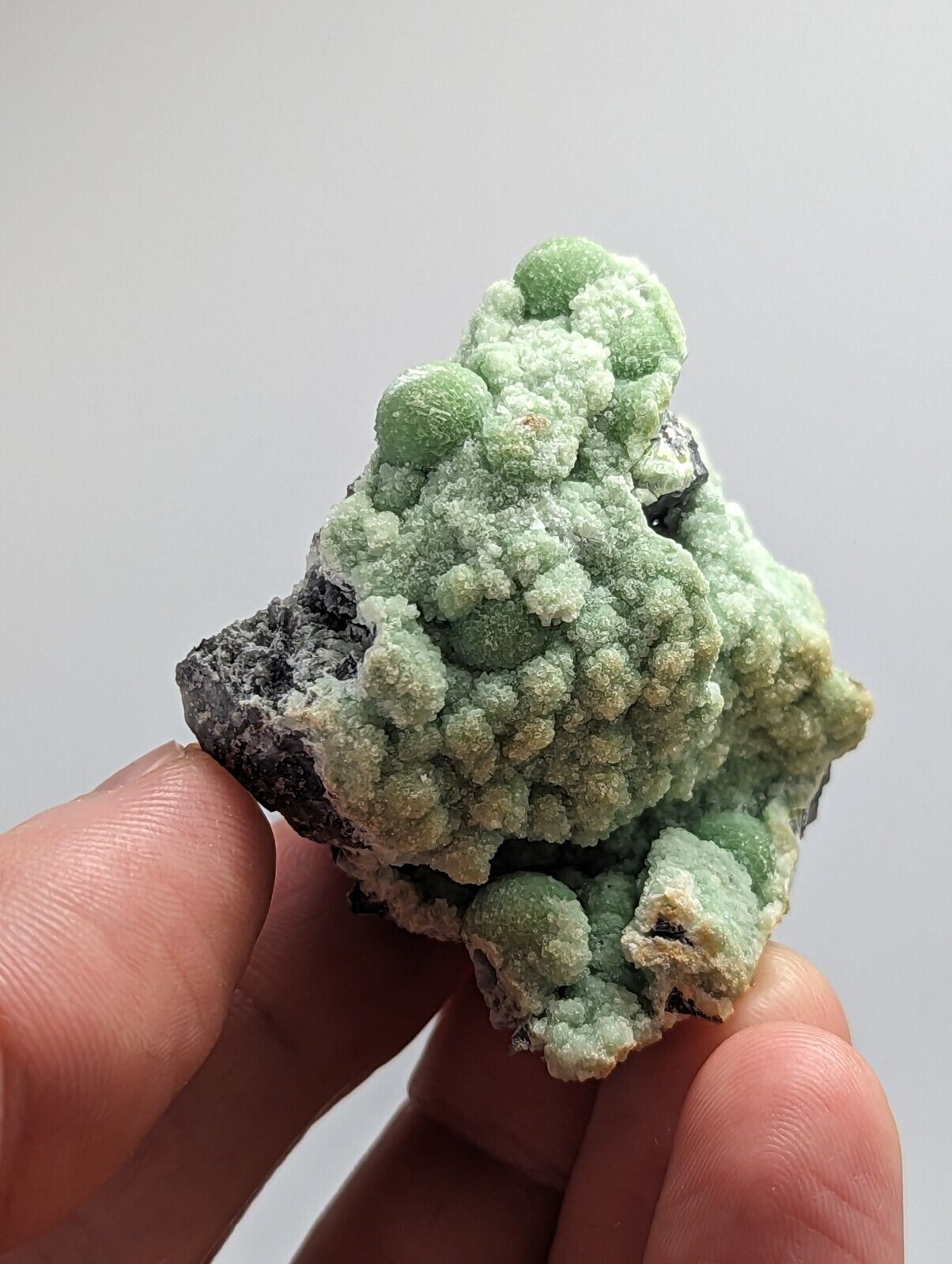 Wavellite -Fantastic 1990s Old Stock- Mauldin Mountain Arkansas montgomery co. - Collectibles:Rocks Fossils &