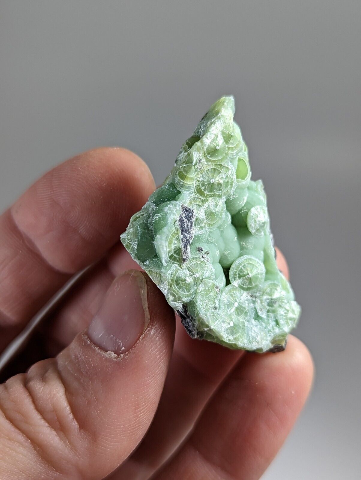 Wavellite - Fantastic 1990s Old Stock - Mauldin Mountain Arkansas - Collectibles:Rocks Fossils & Minerals:Crystals