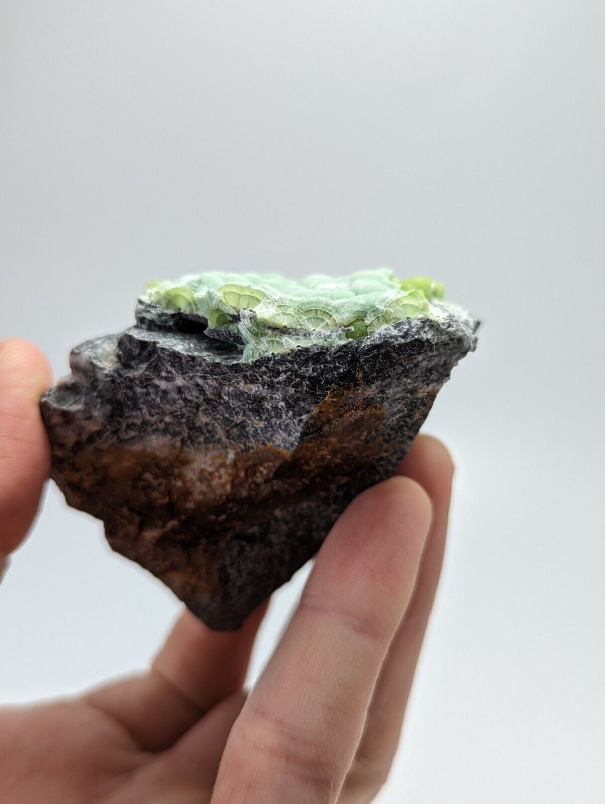 Wavellite - Fantastic 1990s Old Stock - Mauldin Mountain Arkansas - Collectibles:Rocks Fossils & Minerals:Crystals