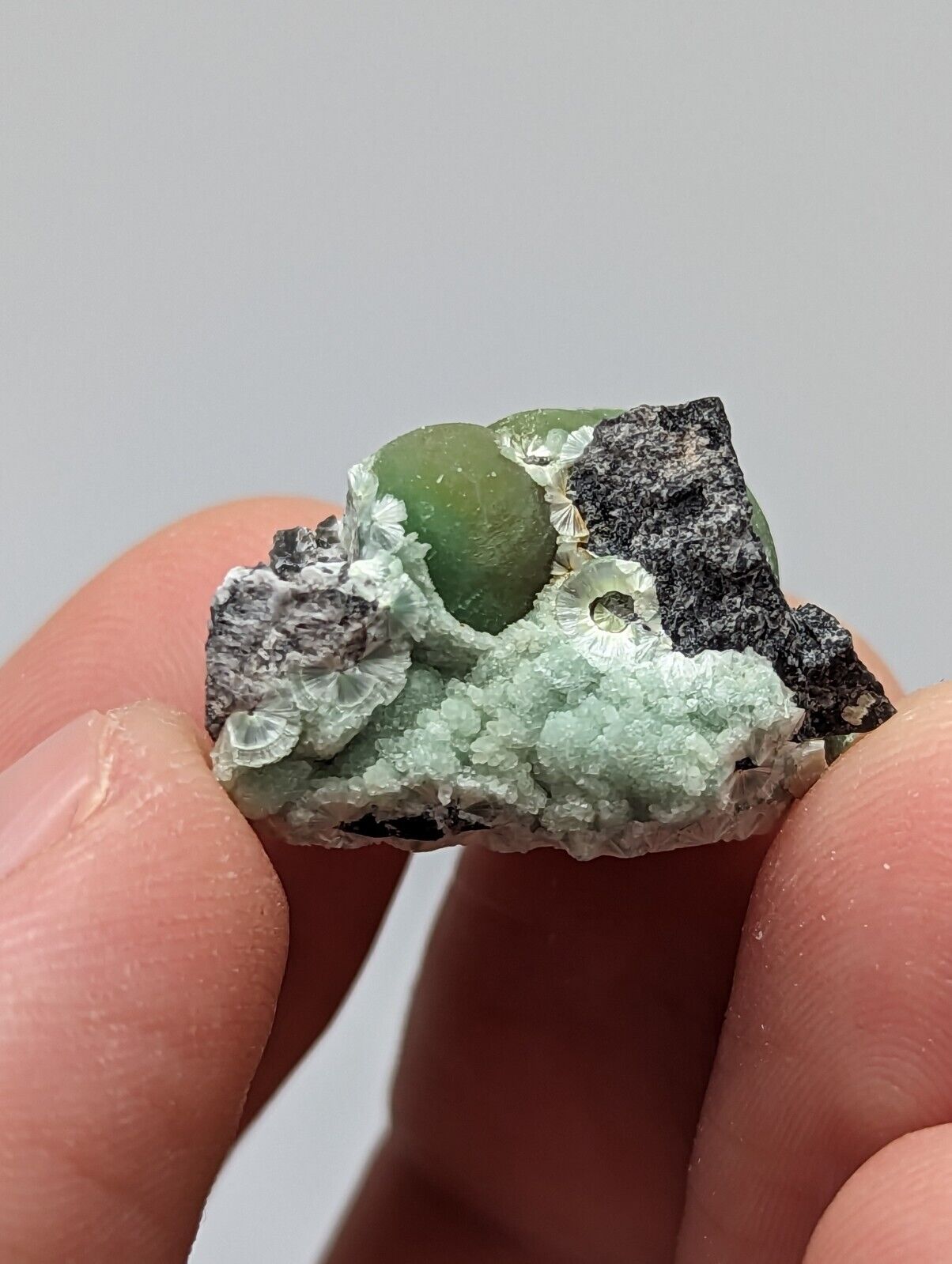 Wavellite - Fantastic 1990s Old Stock - Mauldin Mountain Arkansas - Collectibles:Rocks Fossils & Minerals:Crystals