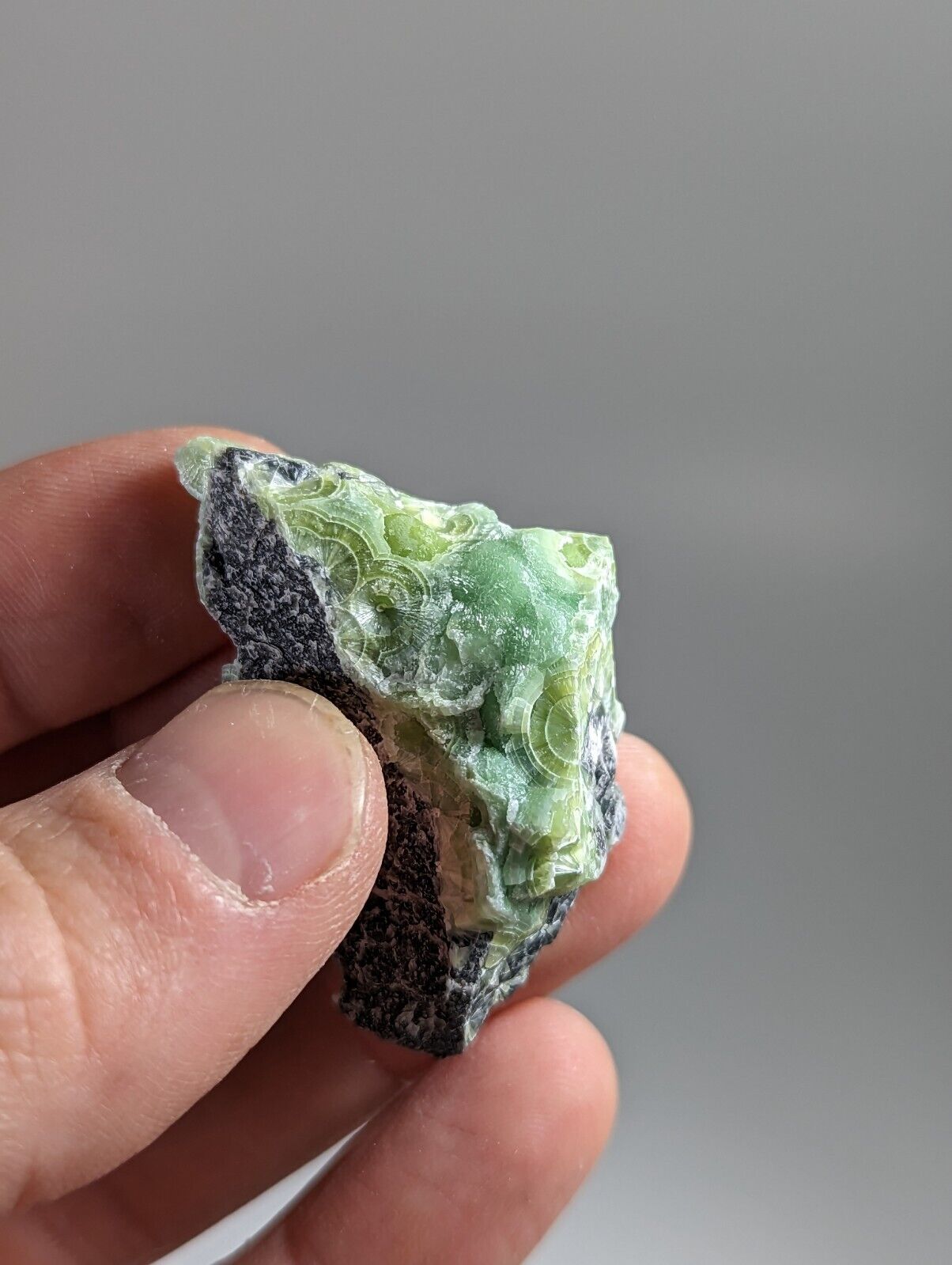 Wavellite - Fantastic 1990s Old Stock - Mauldin Mountain Arkansas - Collectibles:Rocks Fossils & Minerals:Crystals