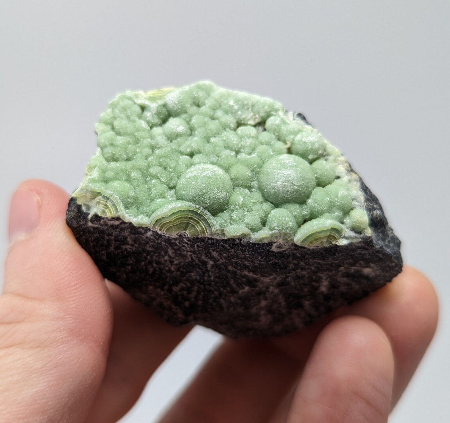 Wavellite - Fantastic 1990s Old Stock - Mauldin Mountain Arkansas - Collectibles:Rocks Fossils & Minerals:Crystals