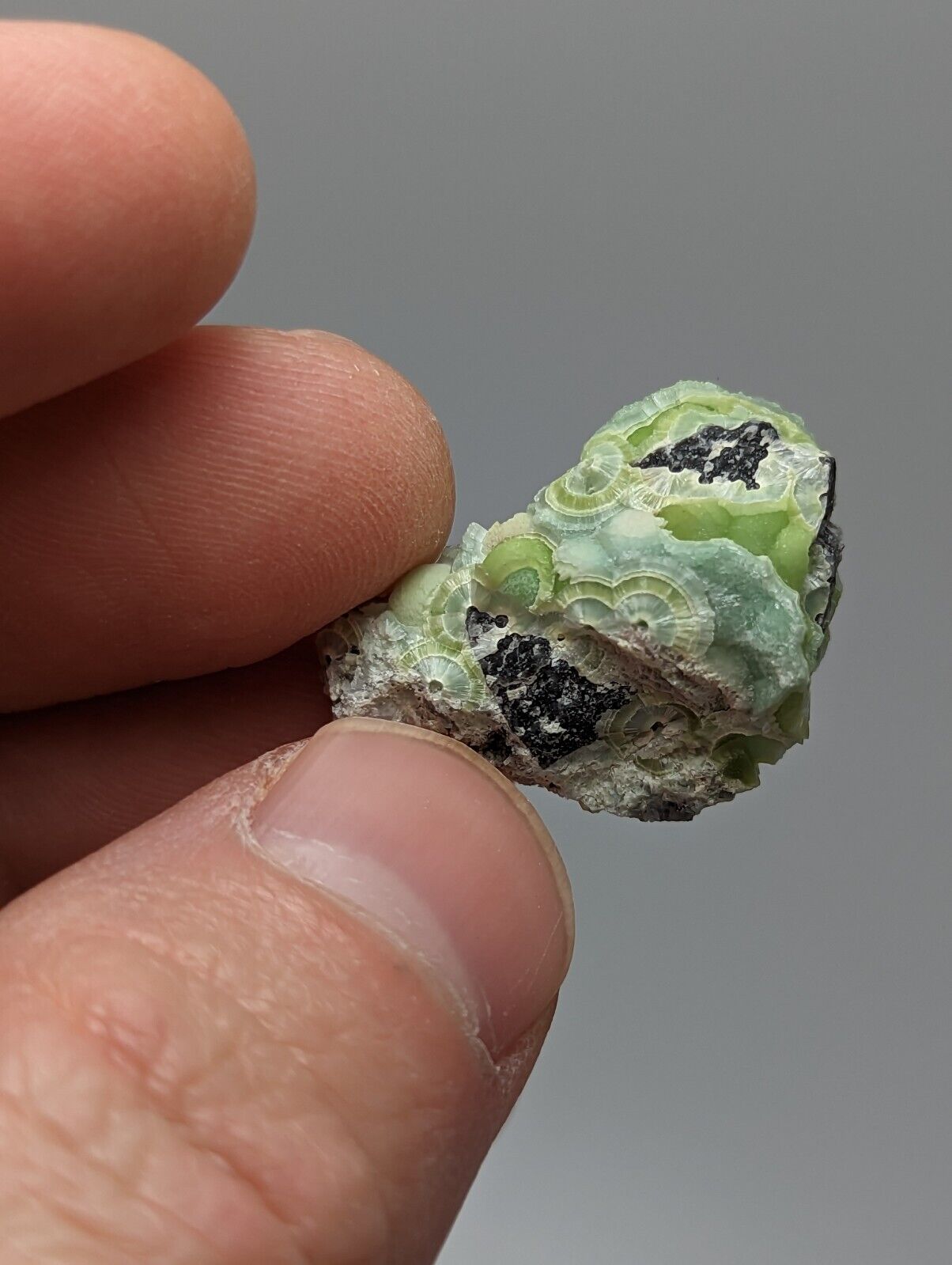 Wavellite - Fantastic 1990s Old Stock - Mauldin Mountain Arkansas A + micro - Collectibles:Rocks Fossils &