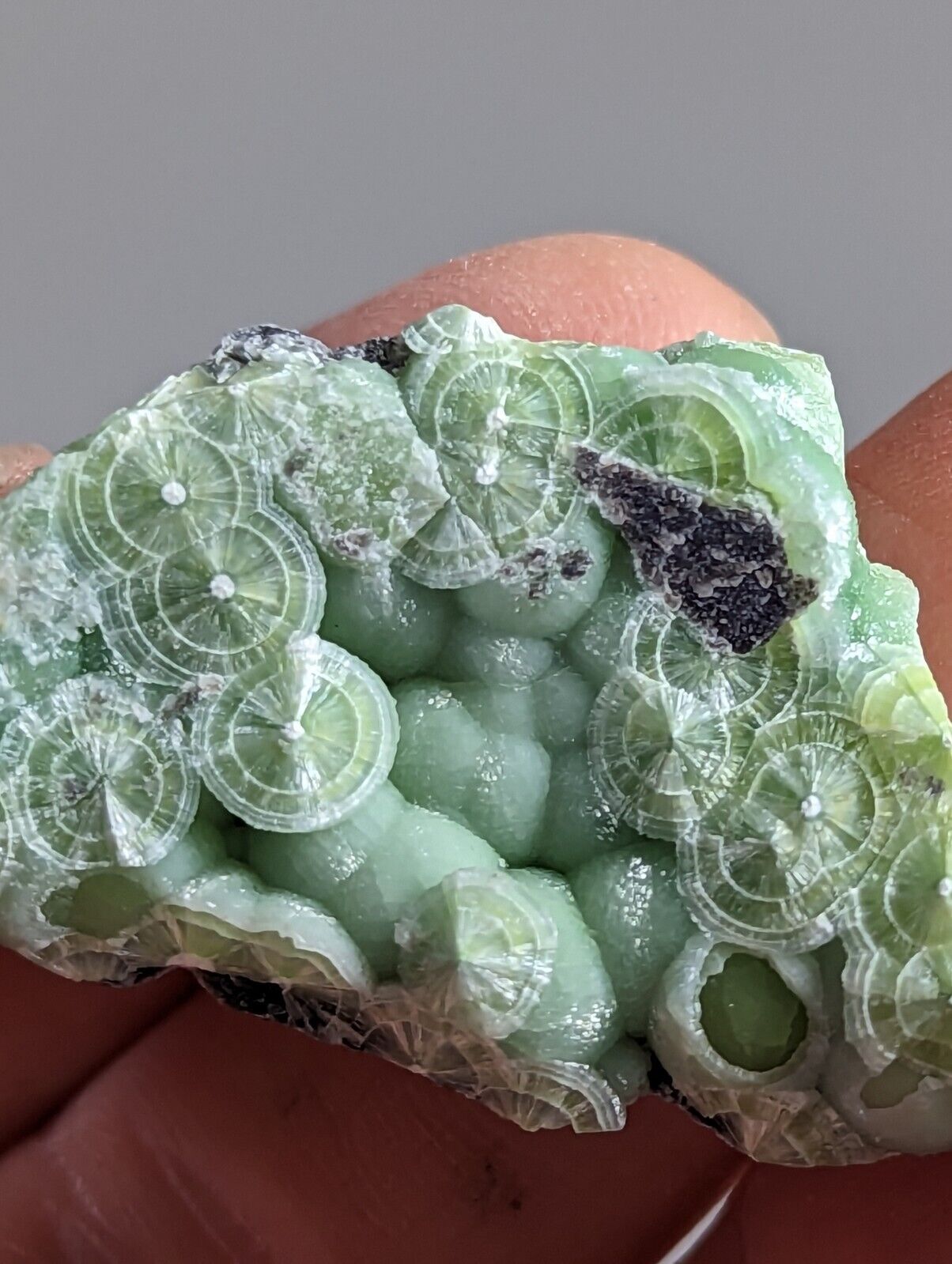 Wavellite - Fantastic 1990s Old Stock - Mauldin Mountain Arkansas - Collectibles:Rocks Fossils & Minerals:Crystals