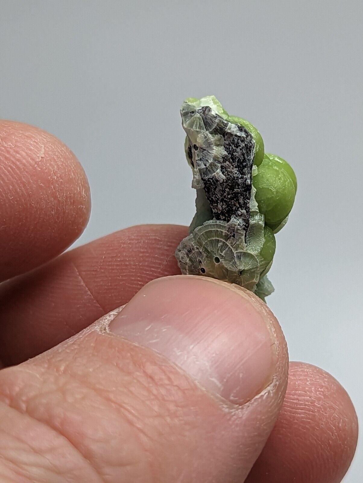 Wavellite - Fantastic 1990s Old Stock - Mauldin Mountain Arkansas - Collectibles:Rocks Fossils & Minerals:Crystals