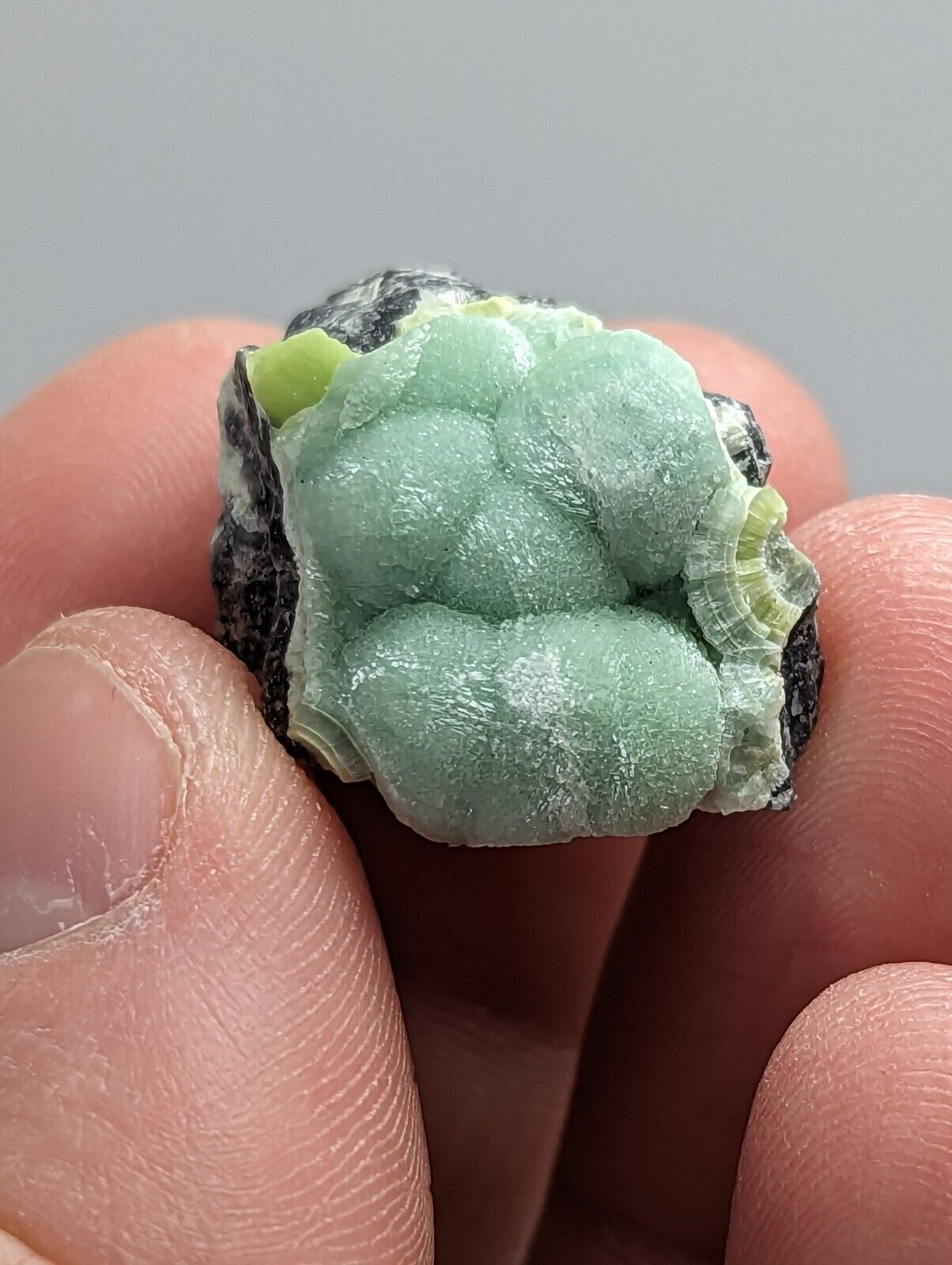 Wavellite - Fantastic 1990s Old Stock - Mauldin Mountain Arkansas - Collectibles:Rocks Fossils & Minerals:Crystals