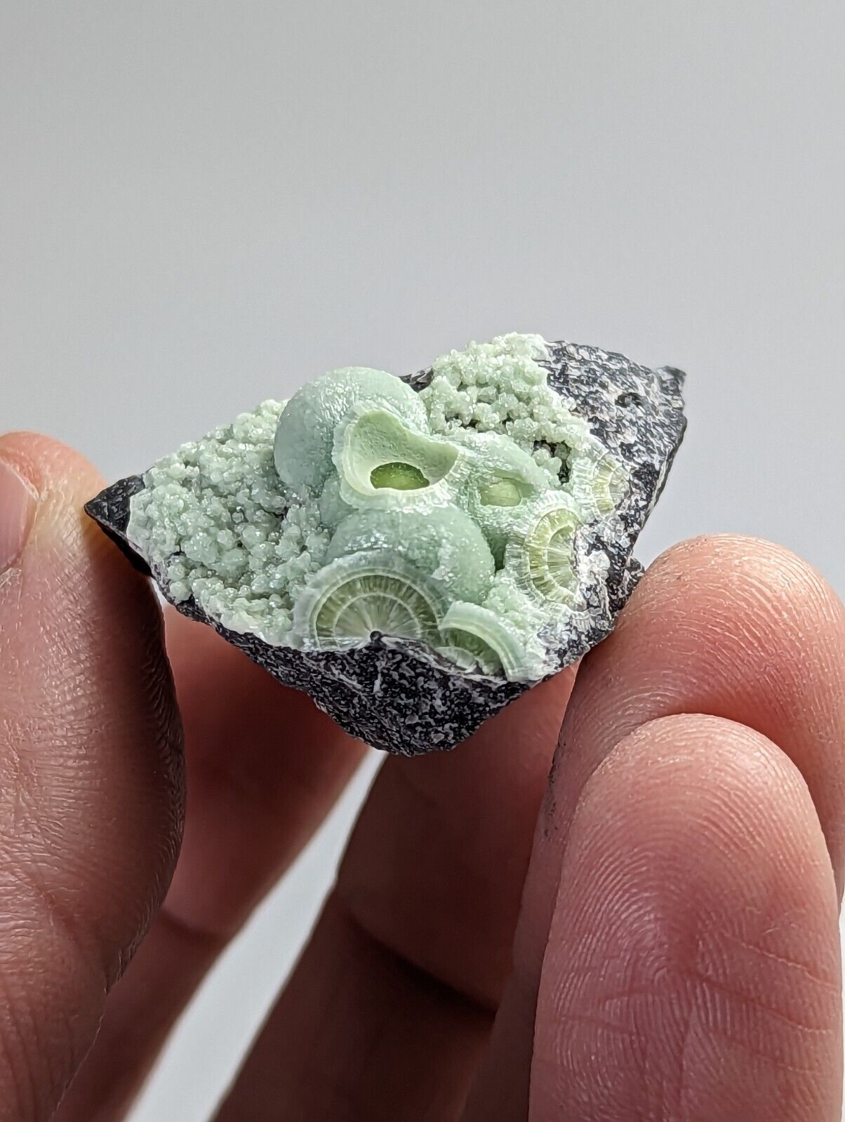 Wavellite - Fantastic 1990s Old Stock - Mauldin Mountain Arkansas - Collectibles:Rocks Fossils & Minerals:Crystals