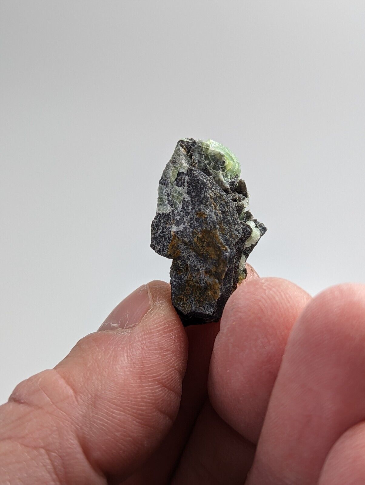Wavellite - Fantastic 1990s Old Stock - Mauldin Mountain Arkansas - Collectibles:Rocks Fossils & Minerals:Crystals
