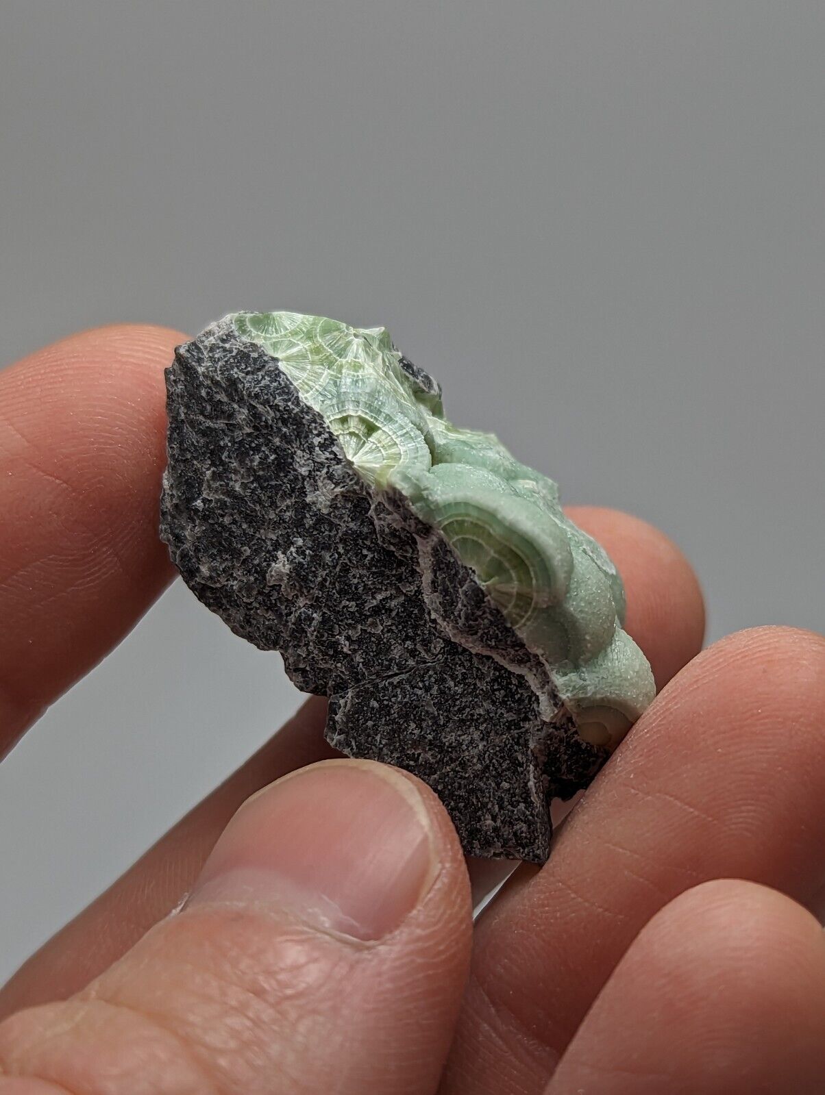 Wavellite - Fantastic 1990s Old Stock - Mauldin Mountain Arkansas - Collectibles:Rocks Fossils & Minerals:Crystals