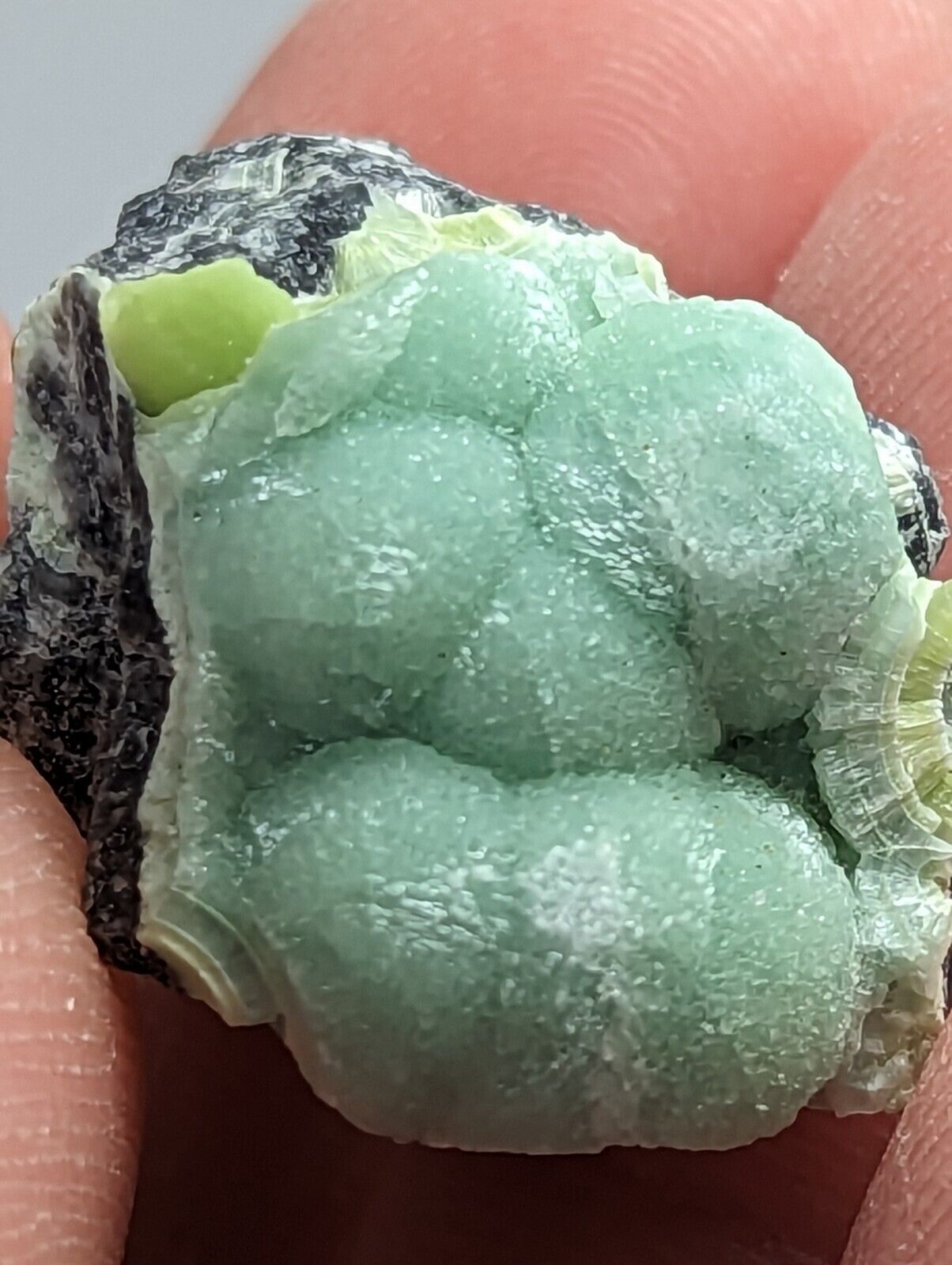 Wavellite - Fantastic 1990s Old Stock - Mauldin Mountain Arkansas - Collectibles:Rocks Fossils & Minerals:Crystals