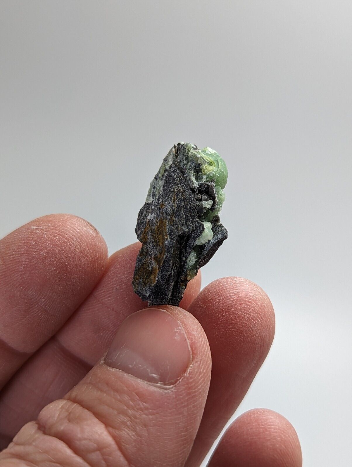 Wavellite - Fantastic 1990s Old Stock - Mauldin Mountain Arkansas - Collectibles:Rocks Fossils & Minerals:Crystals