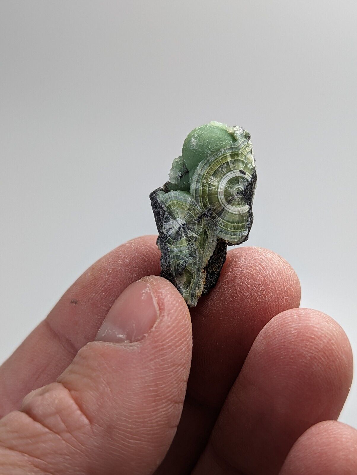 Wavellite - Fantastic 1990s Old Stock - Mauldin Mountain Arkansas - Collectibles:Rocks Fossils & Minerals:Crystals