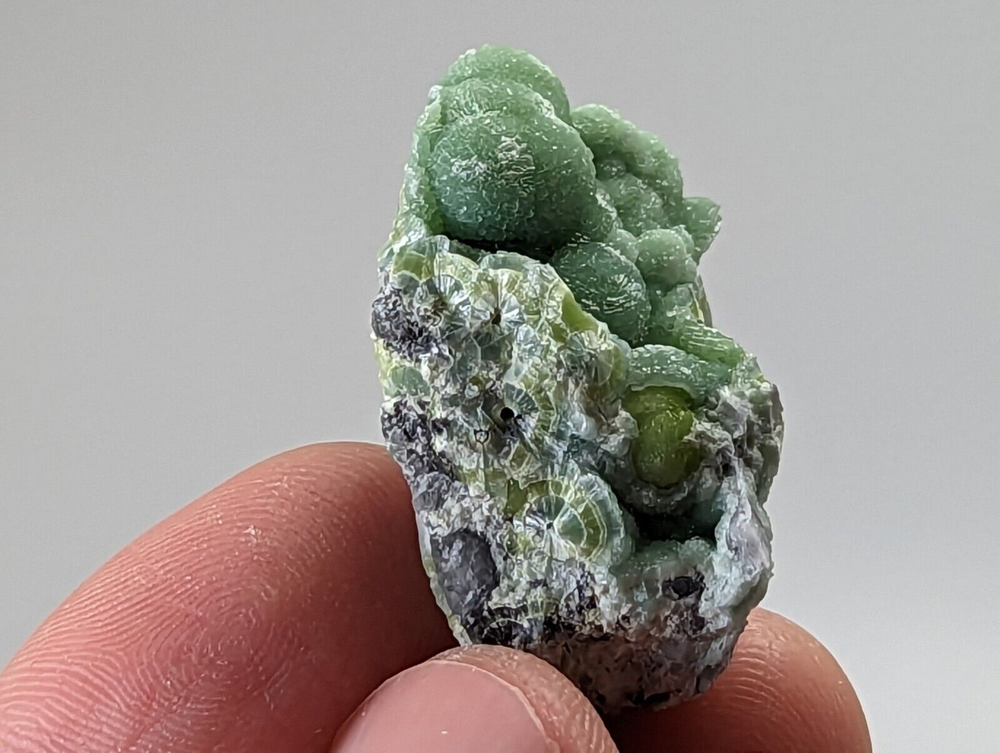 Wavellite - Fantastic 1990s Old Stock - Mauldin Mountain Arkansas Green 3.5cm - Collectibles:Rocks Fossils &