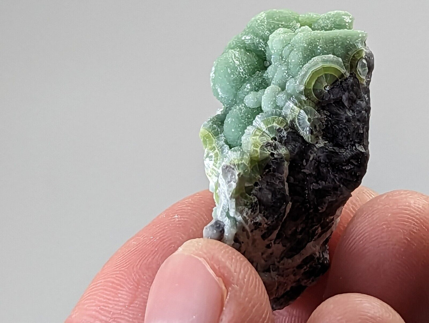 Wavellite - Fantastic 1990s Old Stock - Mauldin Mountain Arkansas Green 3.5cm - Collectibles:Rocks Fossils &