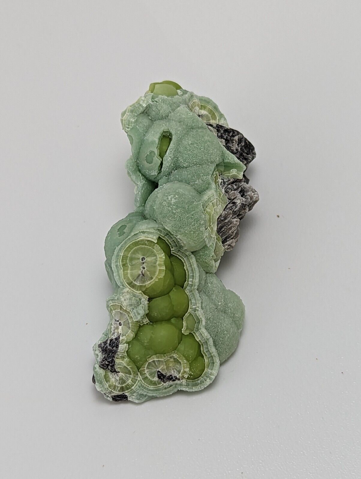 Wavellite - Fantastic 1990s Old Stock - Mauldin Mountain Arkansas Multi Hue - Collectibles:Rocks Fossils &