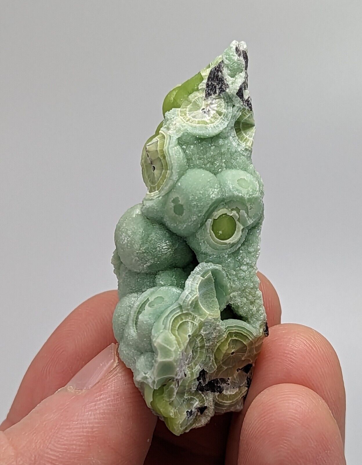 Wavellite - Fantastic 1990s Old Stock - Mauldin Mountain Arkansas Multi Hue - Collectibles:Rocks Fossils &