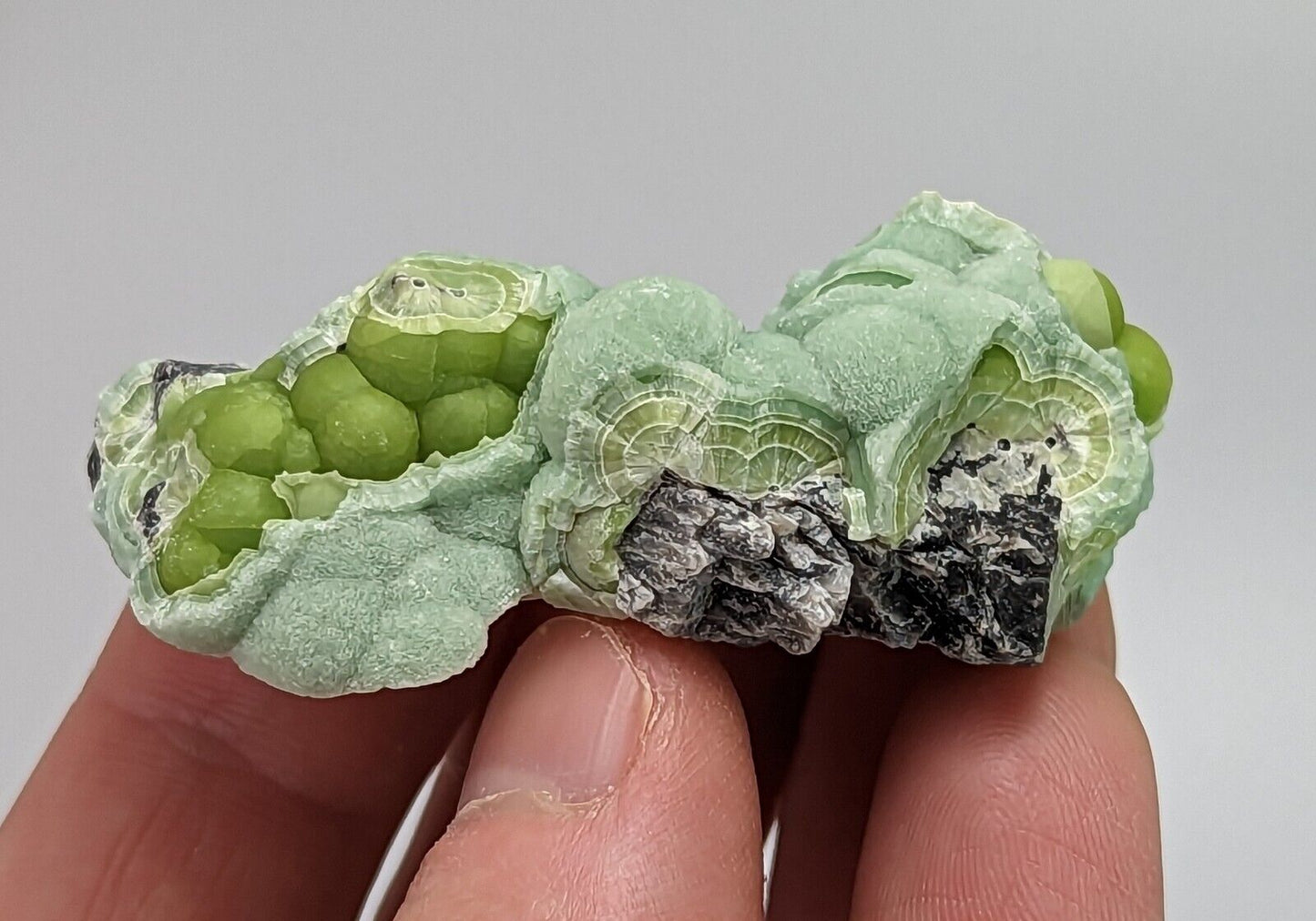 Wavellite - Fantastic 1990s Old Stock - Mauldin Mountain Arkansas Multi Hue - Collectibles:Rocks Fossils &