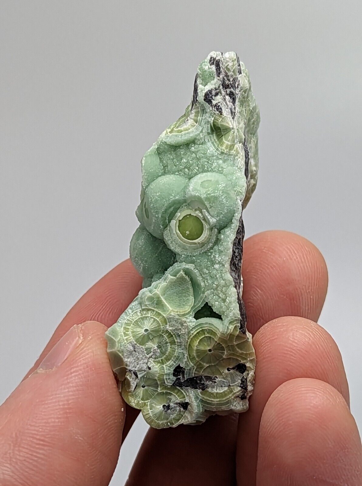 Wavellite - Fantastic 1990s Old Stock - Mauldin Mountain Arkansas Multi Hue - Collectibles:Rocks Fossils &