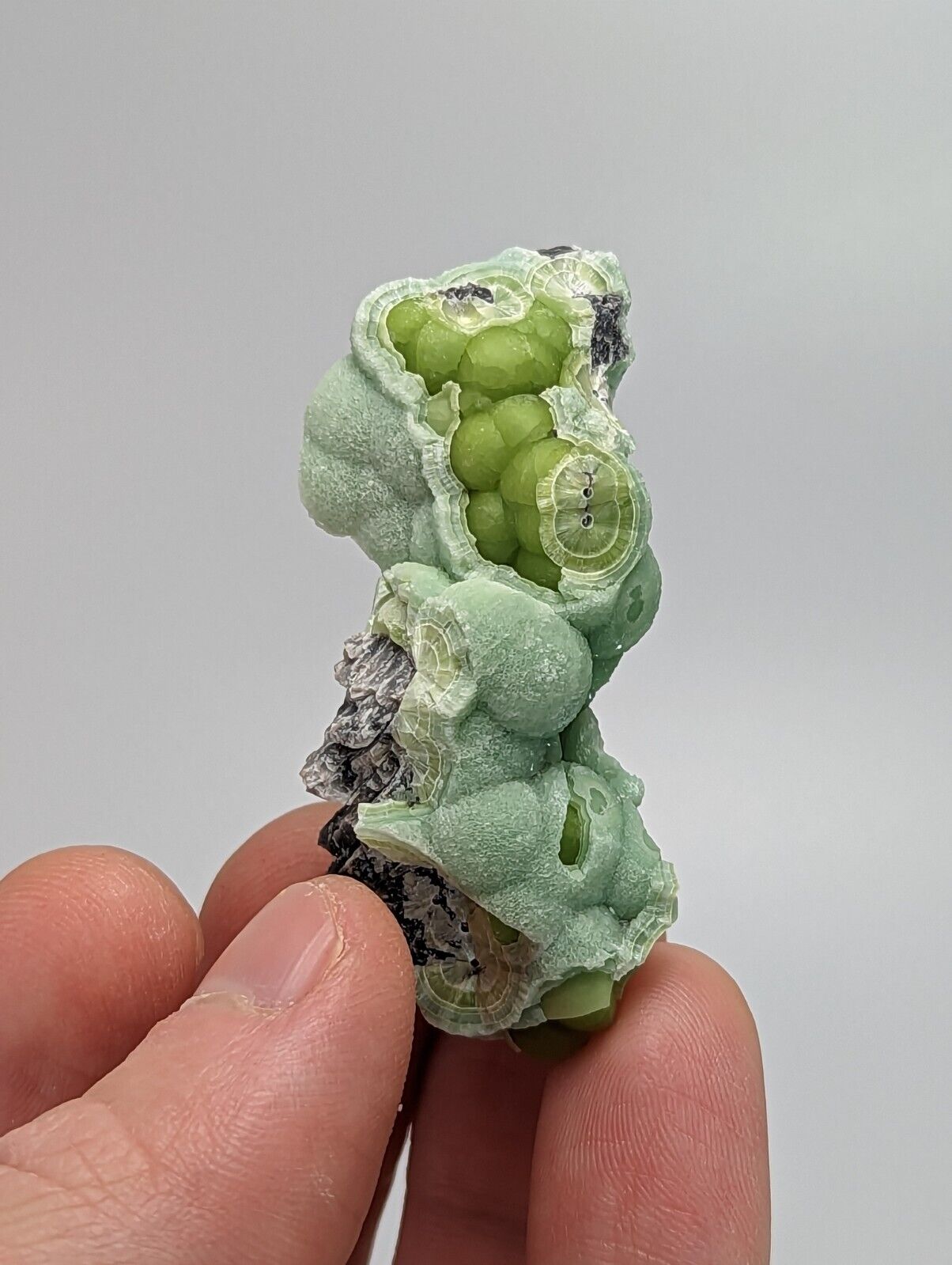 Wavellite - Fantastic 1990s Old Stock - Mauldin Mountain Arkansas Multi Hue - Collectibles:Rocks Fossils &