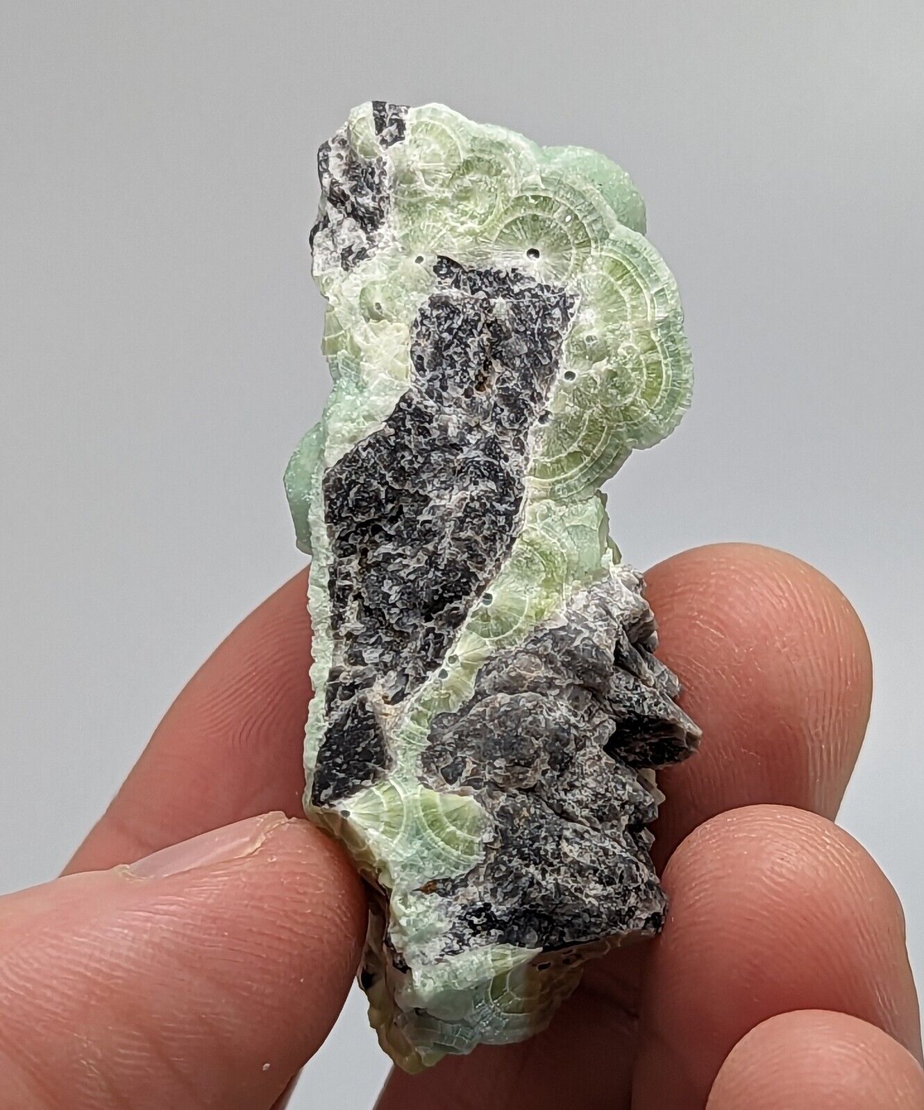 Wavellite - Fantastic 1990s Old Stock - Mauldin Mountain Arkansas Multi Hue - Collectibles:Rocks Fossils &