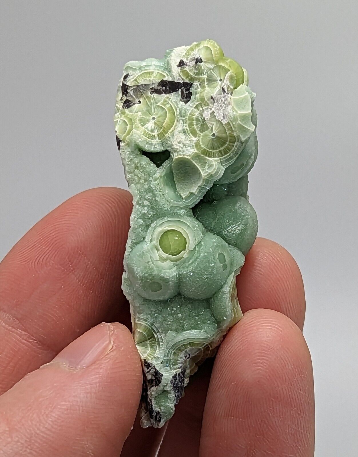 Wavellite - Fantastic 1990s Old Stock - Mauldin Mountain Arkansas Multi Hue - Collectibles:Rocks Fossils &