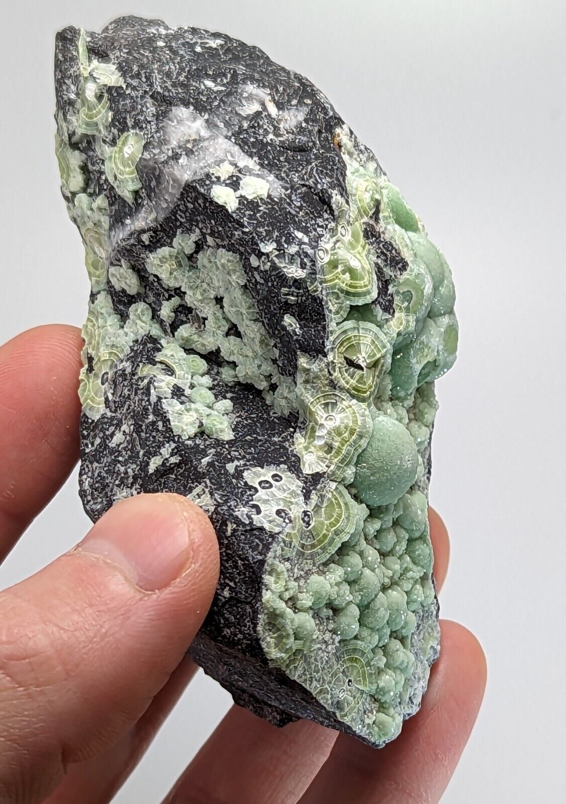 Wavellite - Fantastic Old Stock - Mauldin Mountain Arkansas 10.5 cm - Collectibles:Rocks Fossils & Minerals:Crystals