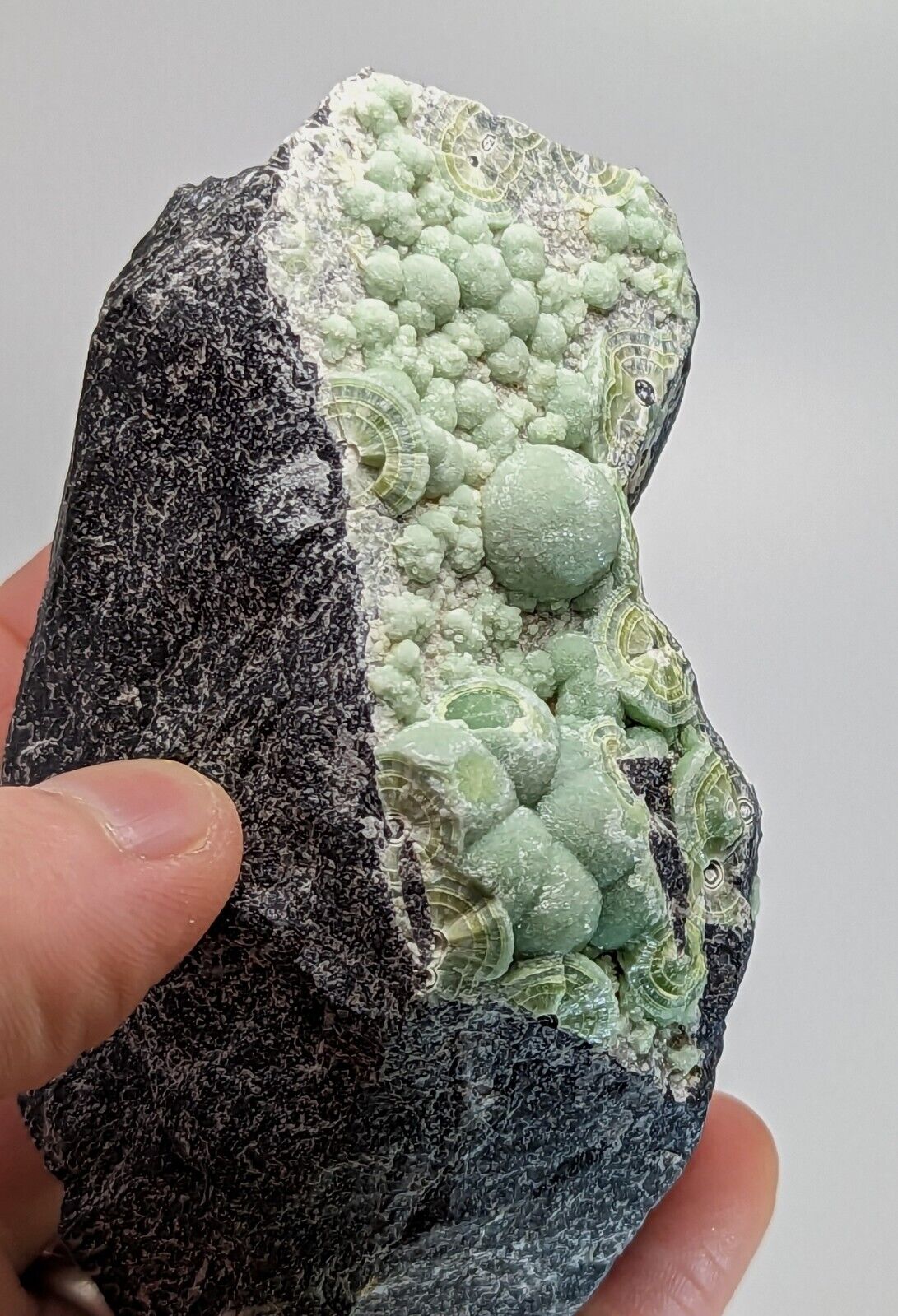Wavellite - Fantastic Old Stock - Mauldin Mountain Arkansas 10.5 cm - Collectibles:Rocks Fossils & Minerals:Crystals