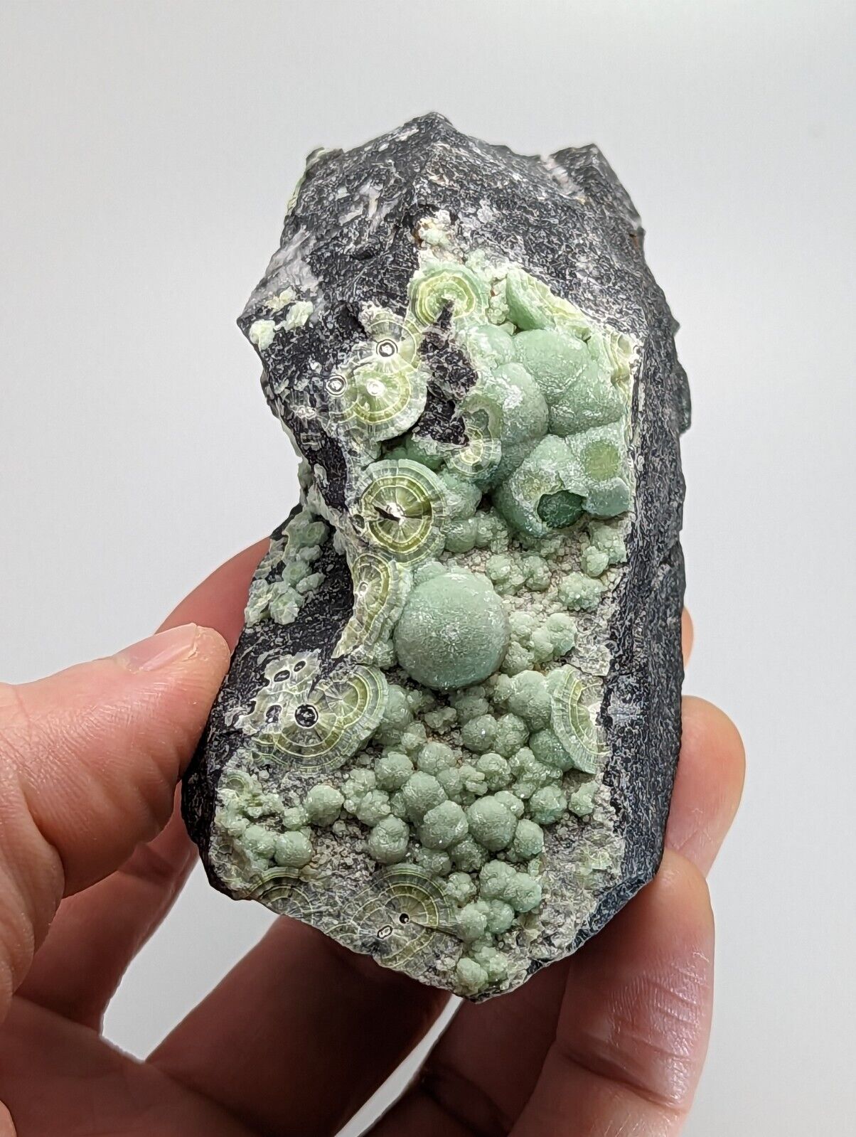 Wavellite - Fantastic Old Stock - Mauldin Mountain Arkansas 10.5 cm - Collectibles:Rocks Fossils & Minerals:Crystals