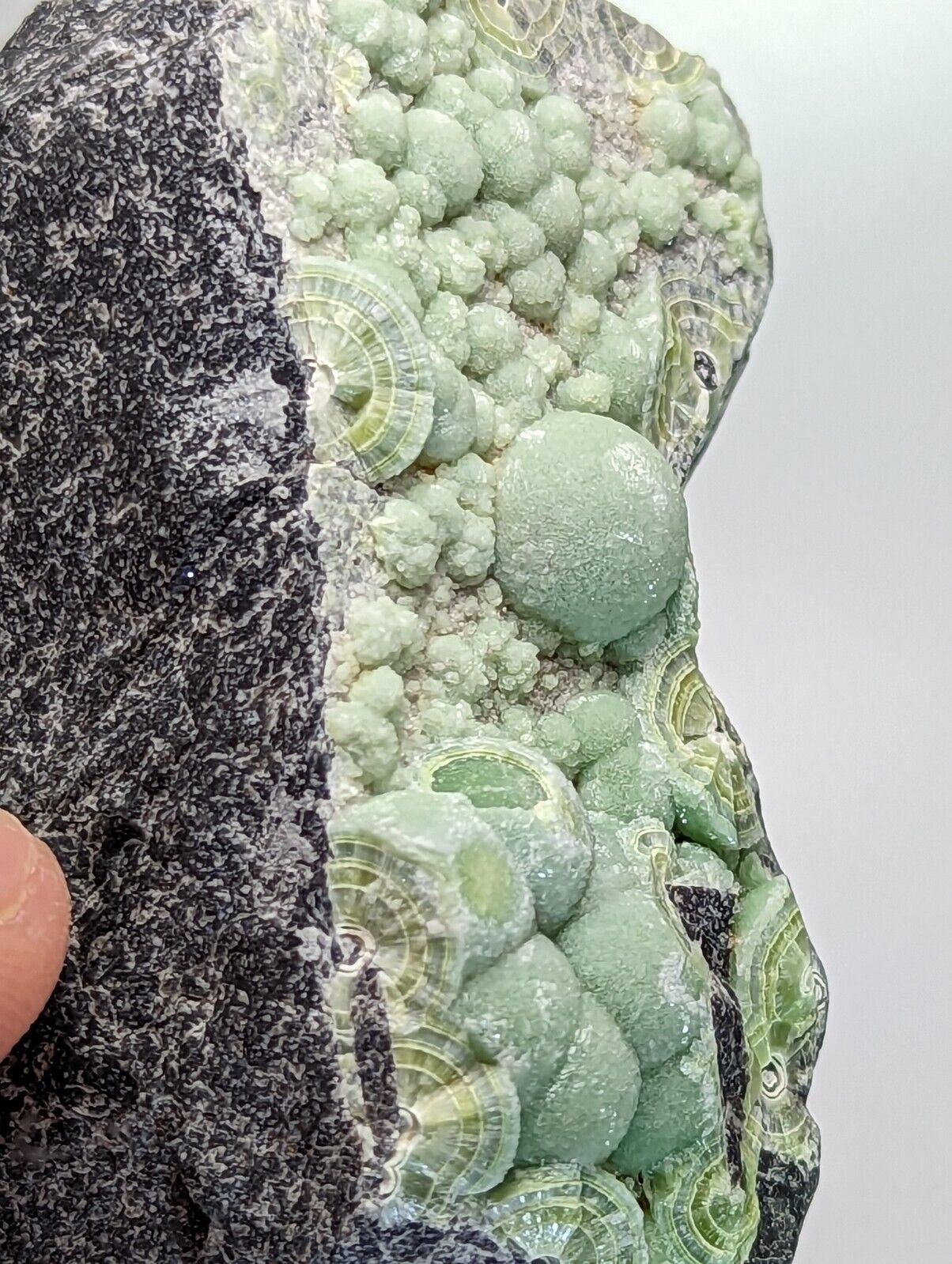 Wavellite - Fantastic Old Stock - Mauldin Mountain Arkansas 10.5 cm - Collectibles:Rocks Fossils & Minerals:Crystals