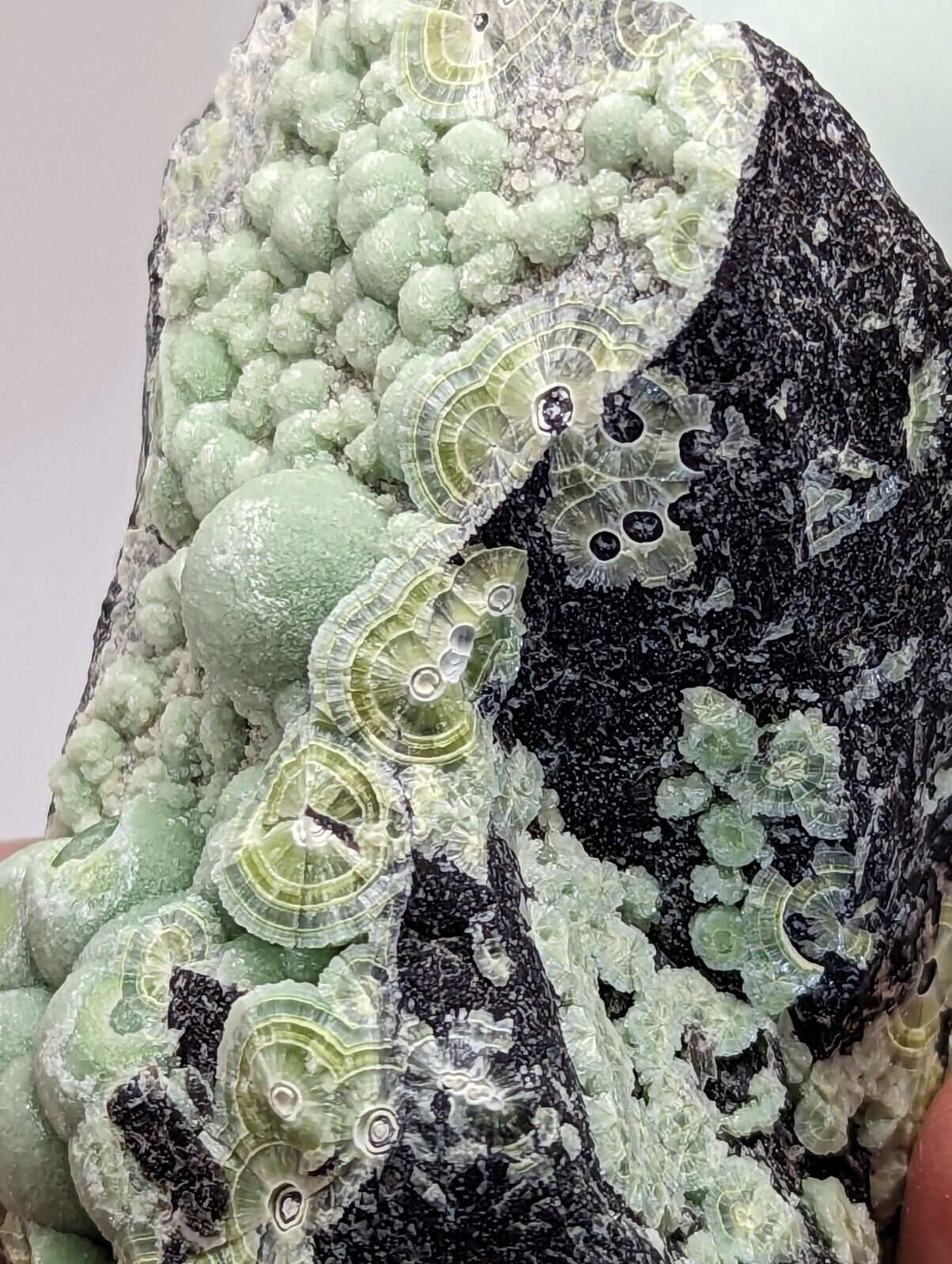 Wavellite - Fantastic Old Stock - Mauldin Mountain Arkansas 10.5 cm - Collectibles:Rocks Fossils & Minerals:Crystals