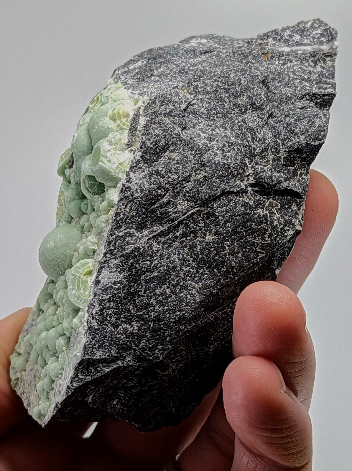Wavellite - Fantastic Old Stock - Mauldin Mountain Arkansas 10.5 cm - Collectibles:Rocks Fossils & Minerals:Crystals