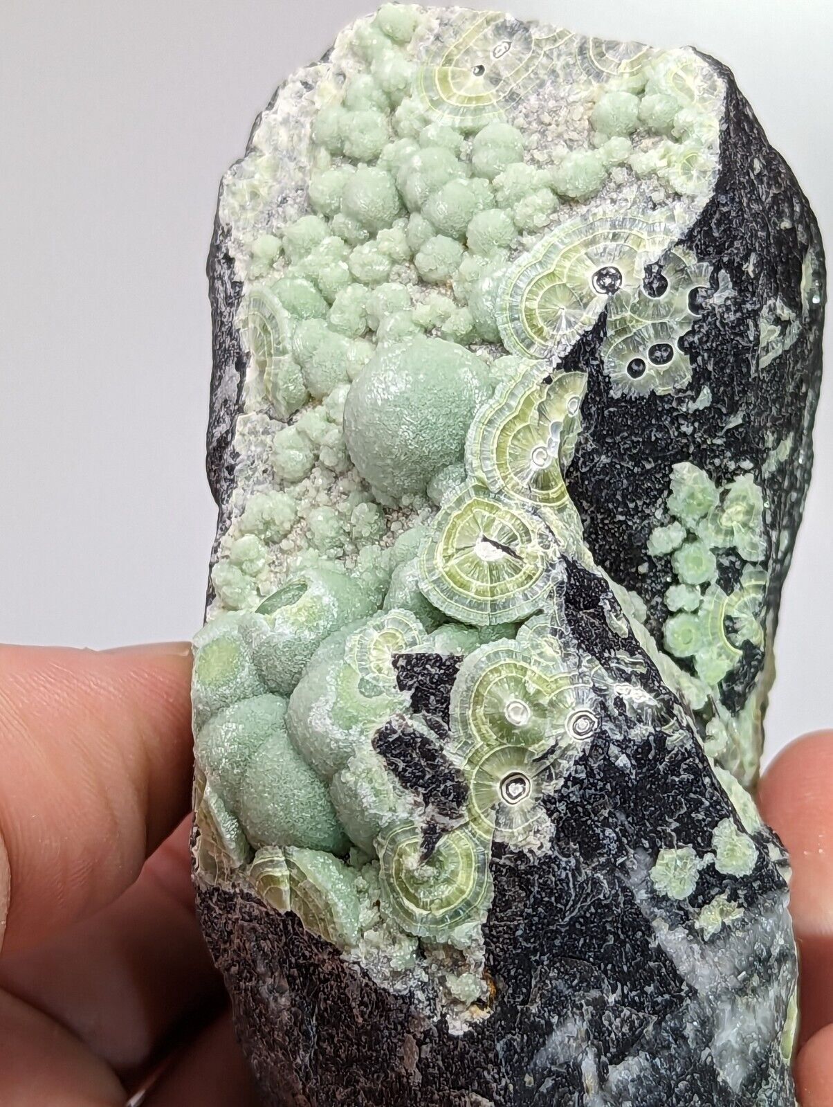 Wavellite - Fantastic Old Stock - Mauldin Mountain Arkansas 10.5 cm - Collectibles:Rocks Fossils & Minerals:Crystals