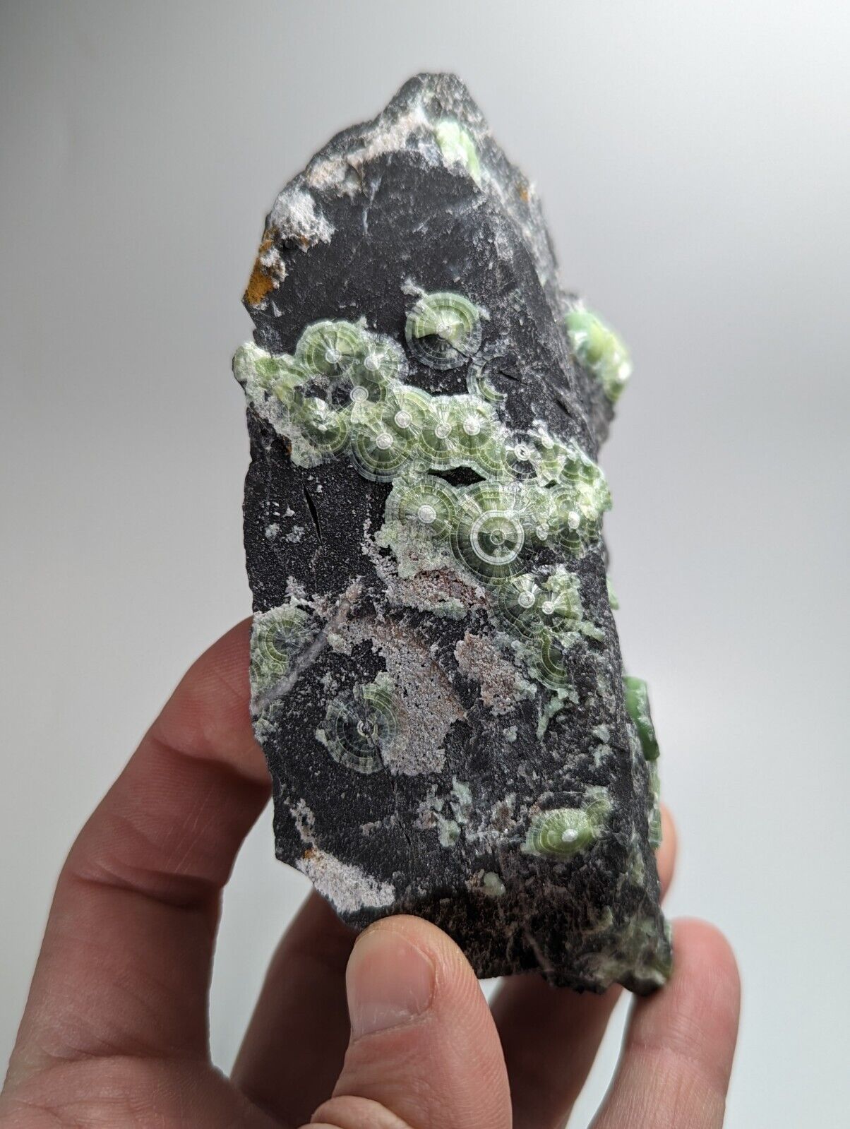 Wavellite - Fantastic Old Stock - Mauldin Mountain Arkansas - Collectibles:Rocks Fossils & Minerals:Crystals Mineral