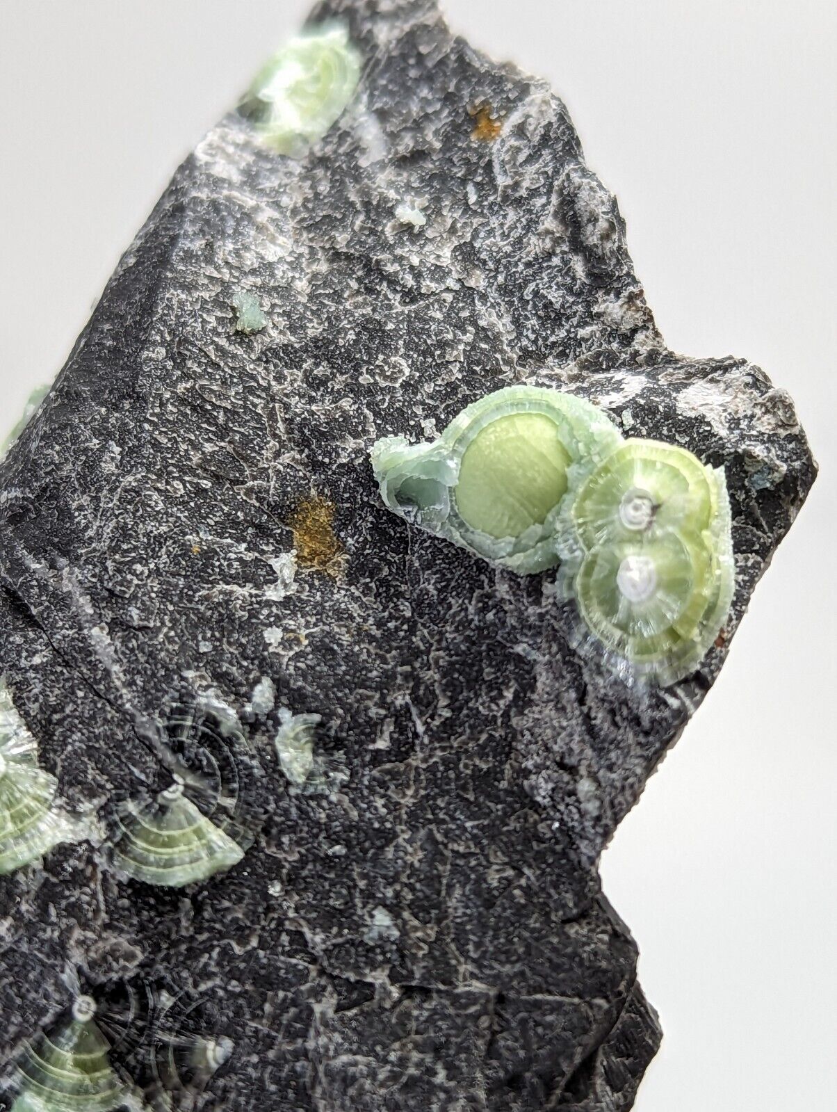 Wavellite - Fantastic Old Stock - Mauldin Mountain Arkansas - Collectibles:Rocks Fossils & Minerals:Crystals Mineral