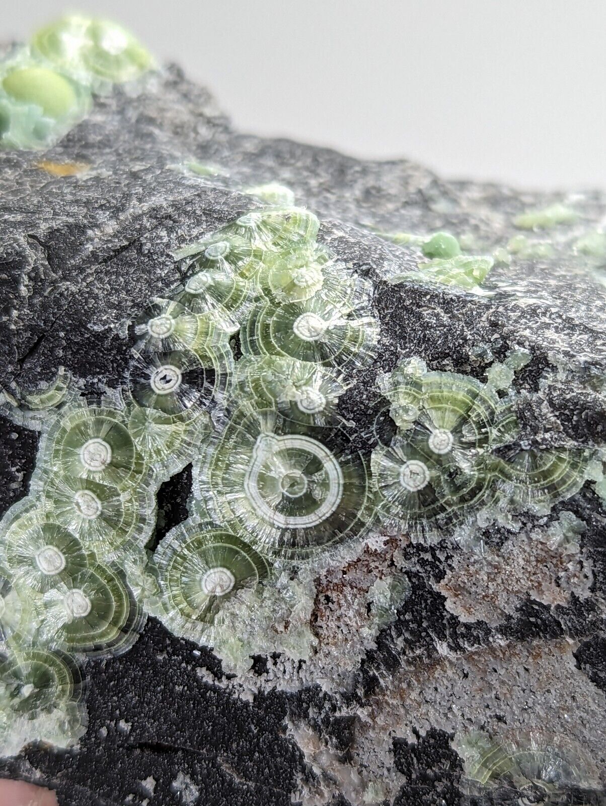 Wavellite - Fantastic Old Stock - Mauldin Mountain Arkansas - Collectibles:Rocks Fossils & Minerals:Crystals Mineral
