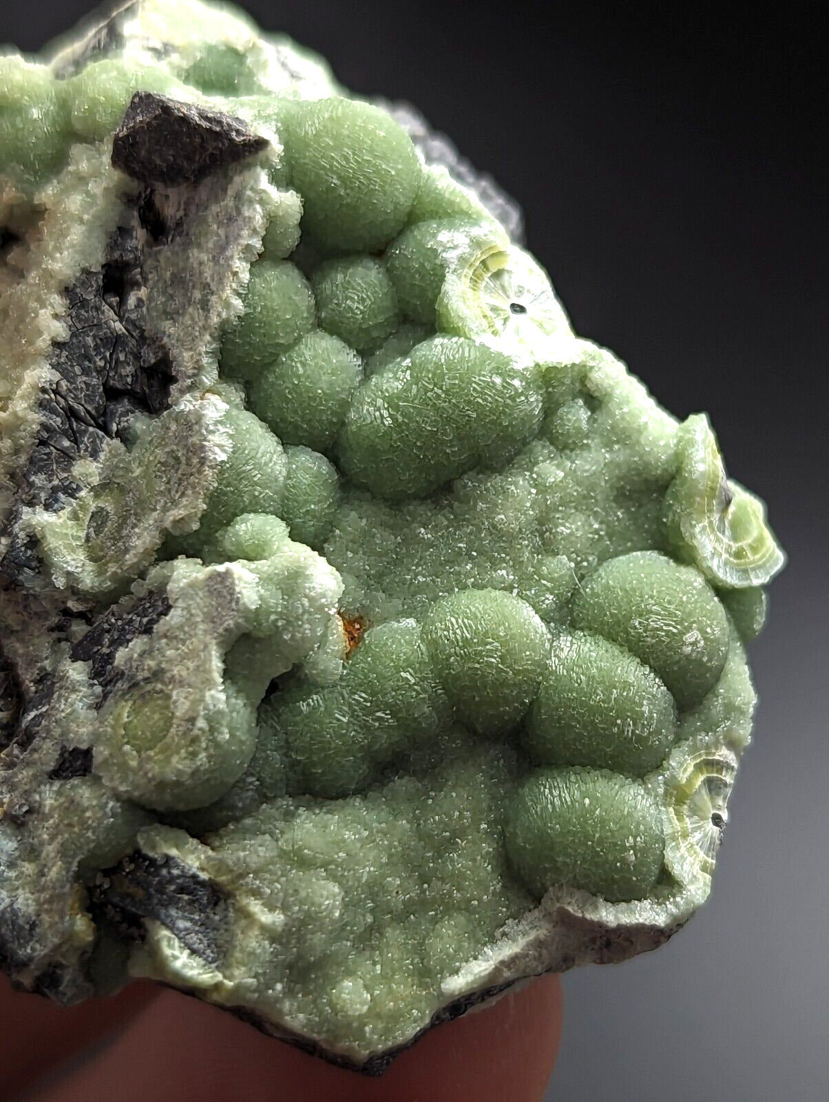 Wavellite - Fantastic Old Stock - Mauldin Mountain Arkansas A + + - Collectibles:Rocks Fossils & Minerals:Crystals