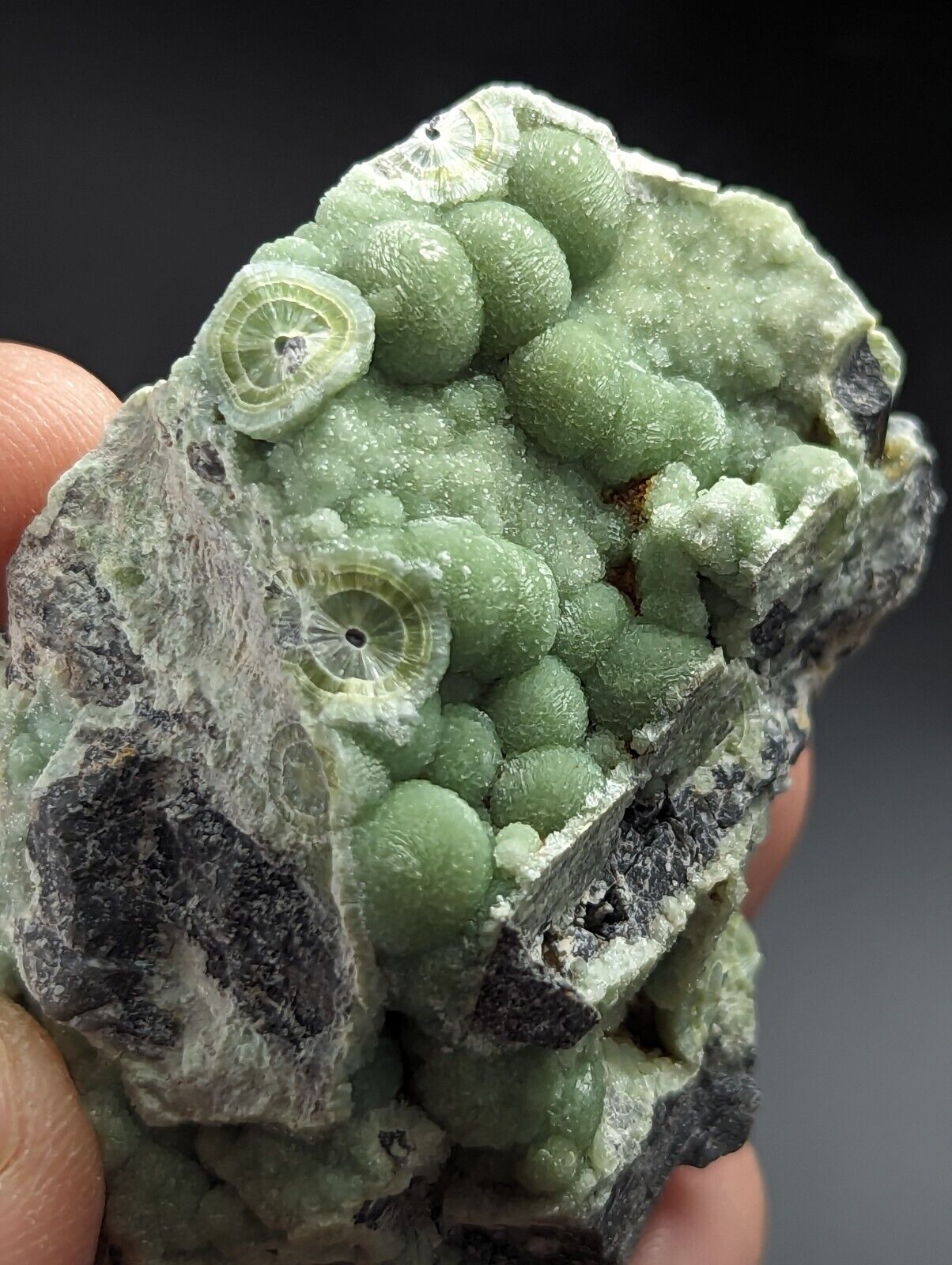 Wavellite - Fantastic Old Stock - Mauldin Mountain Arkansas A + + - Collectibles:Rocks Fossils & Minerals:Crystals