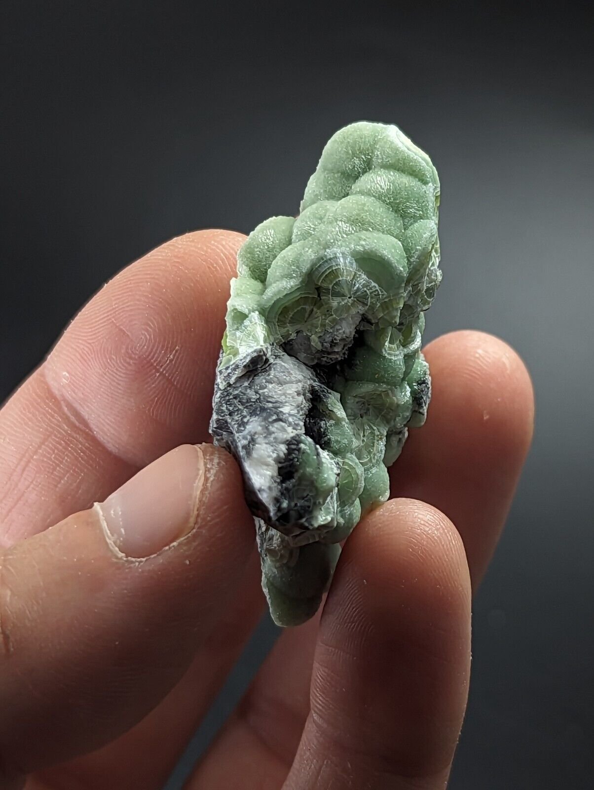 Wavellite - Fantastic Old Stock - Mauldin Mountain Arkansas - Collectibles:Rocks Fossils & Minerals:Crystals Mineral