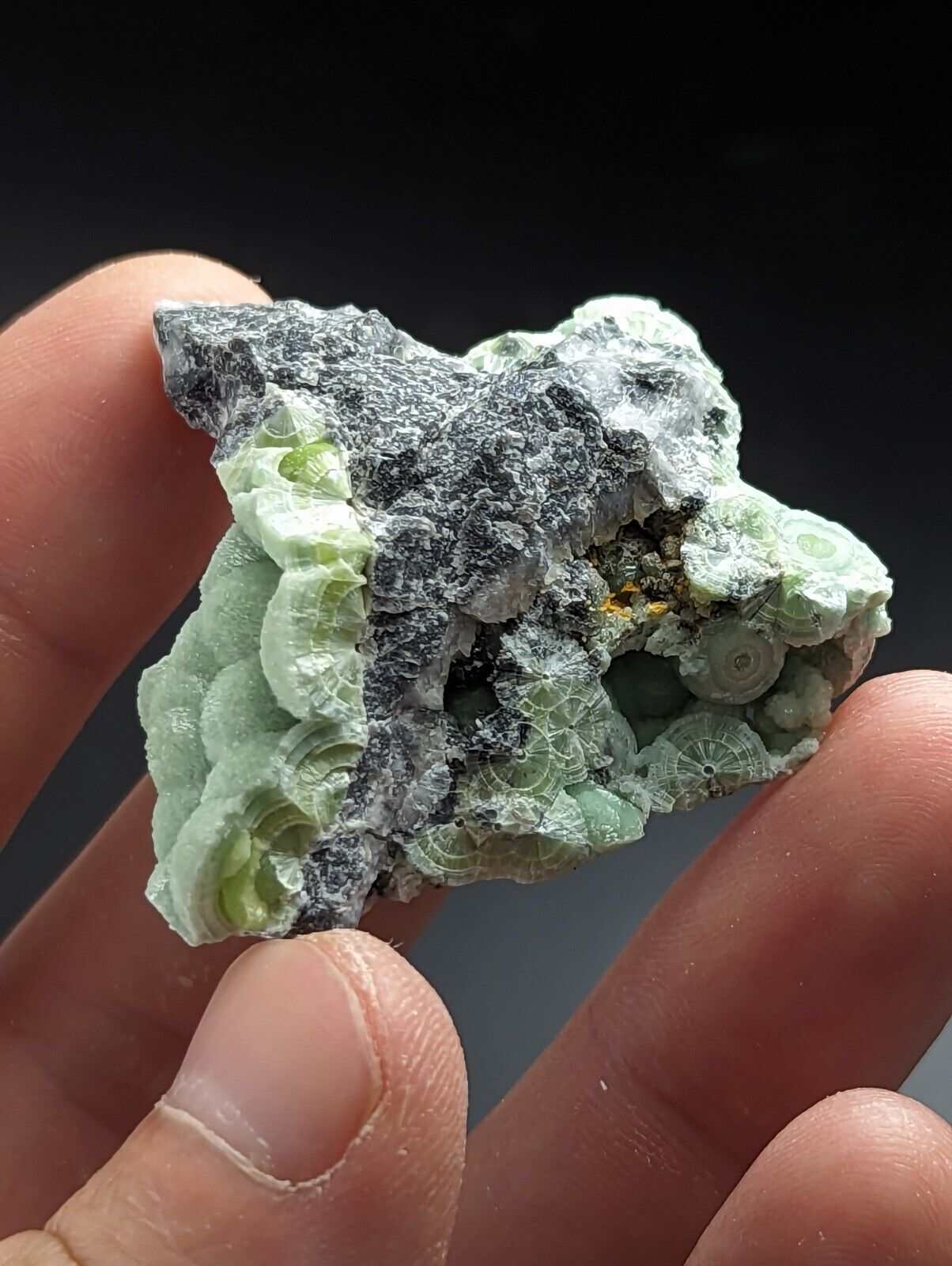 Wavellite - Fantastic Old Stock - Mauldin Mountain Arkansas - Collectibles:Rocks Fossils & Minerals:Crystals Mineral